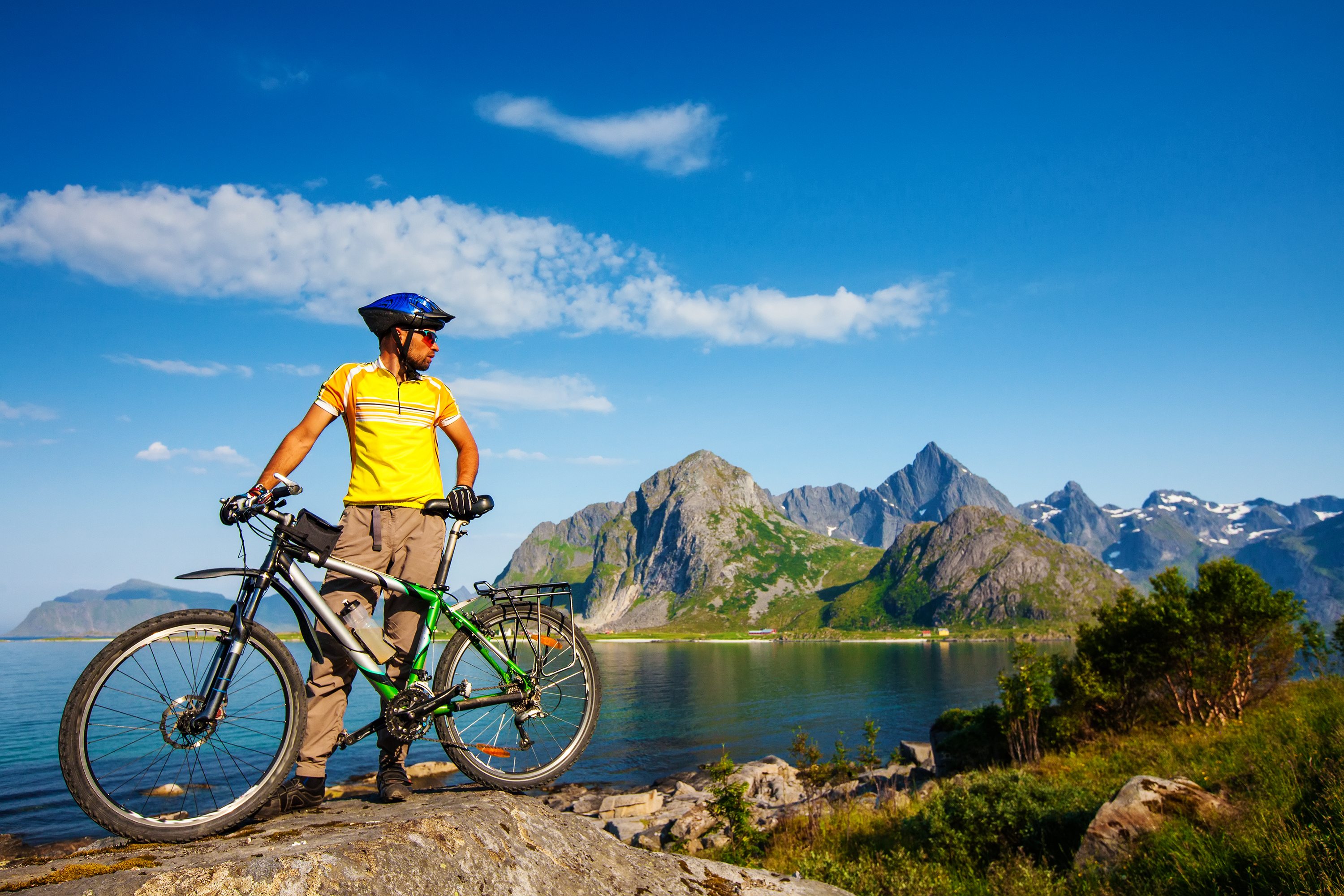 Bike rental