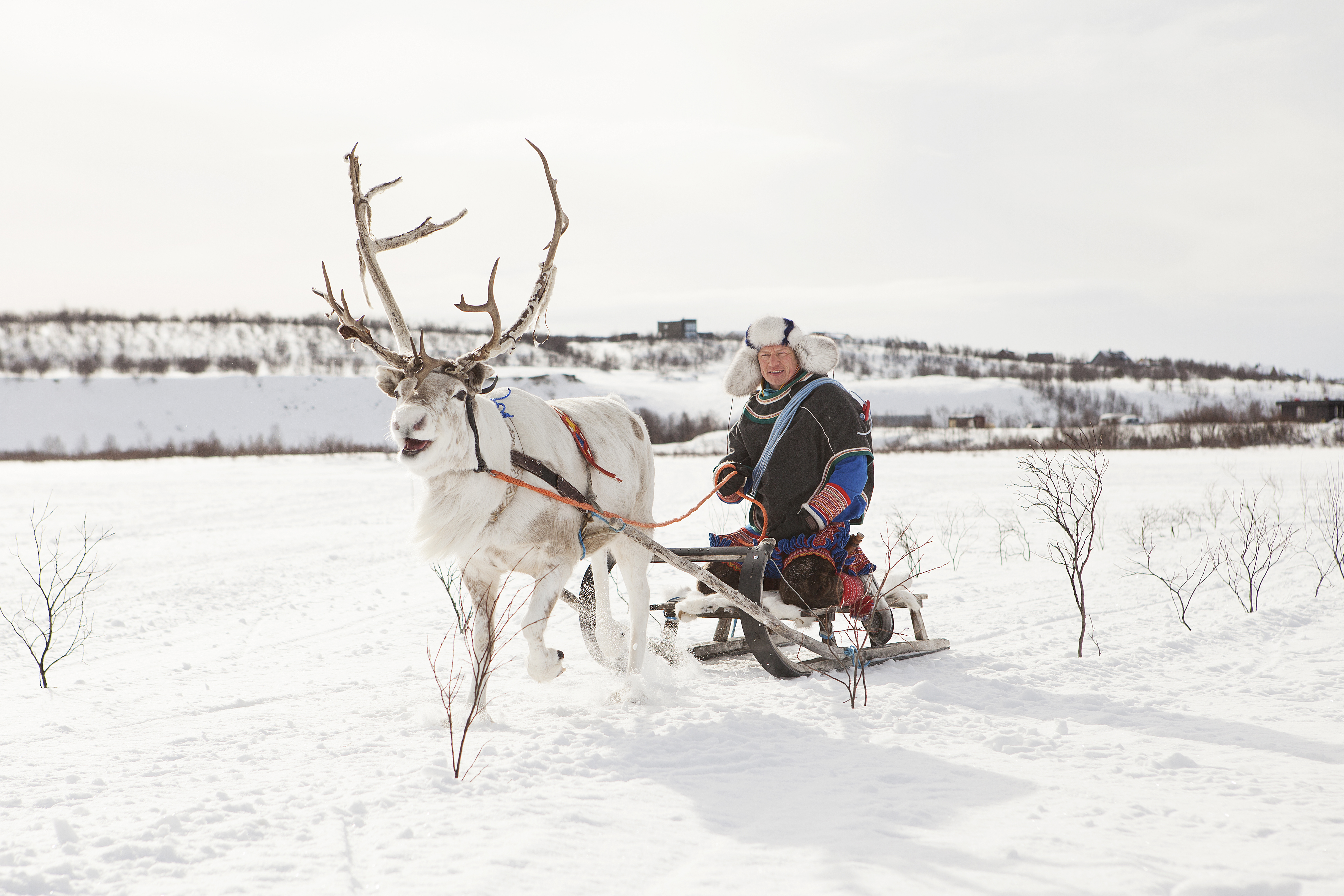 Visit the Samis in Kautokeino, the heart of Sápmi