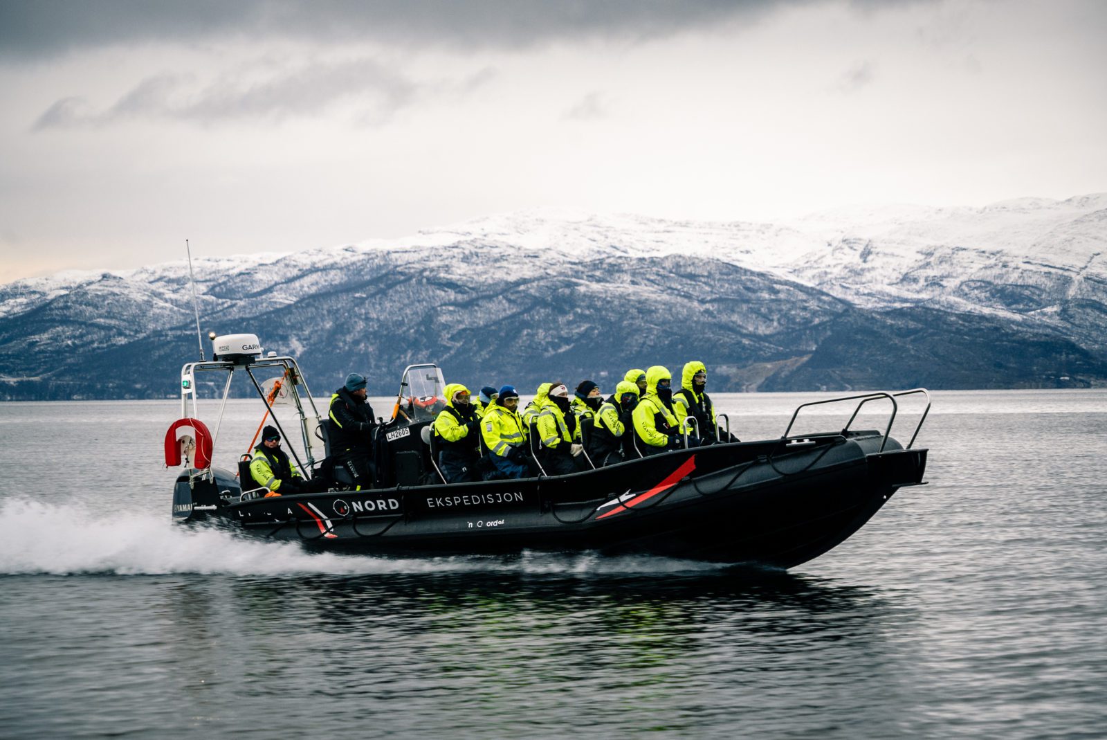 Kongekrabbe Båtsafari