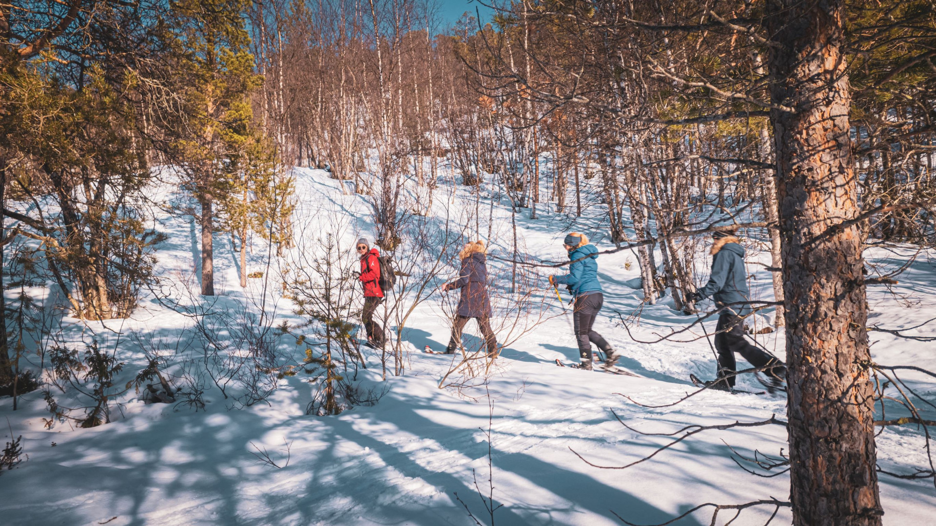 Easy snowshoe adventure