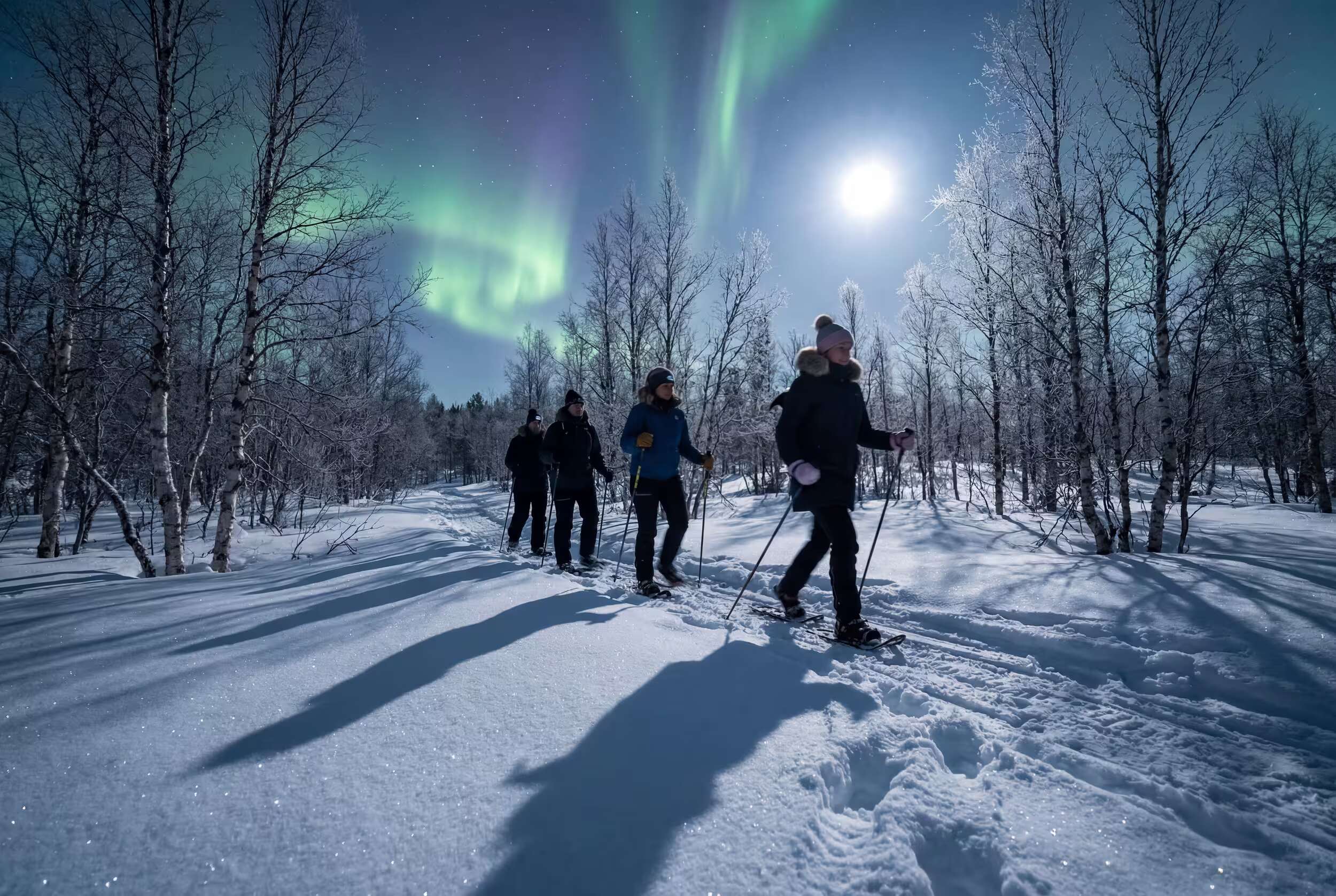 Northern Lights Snowshoe Adventure