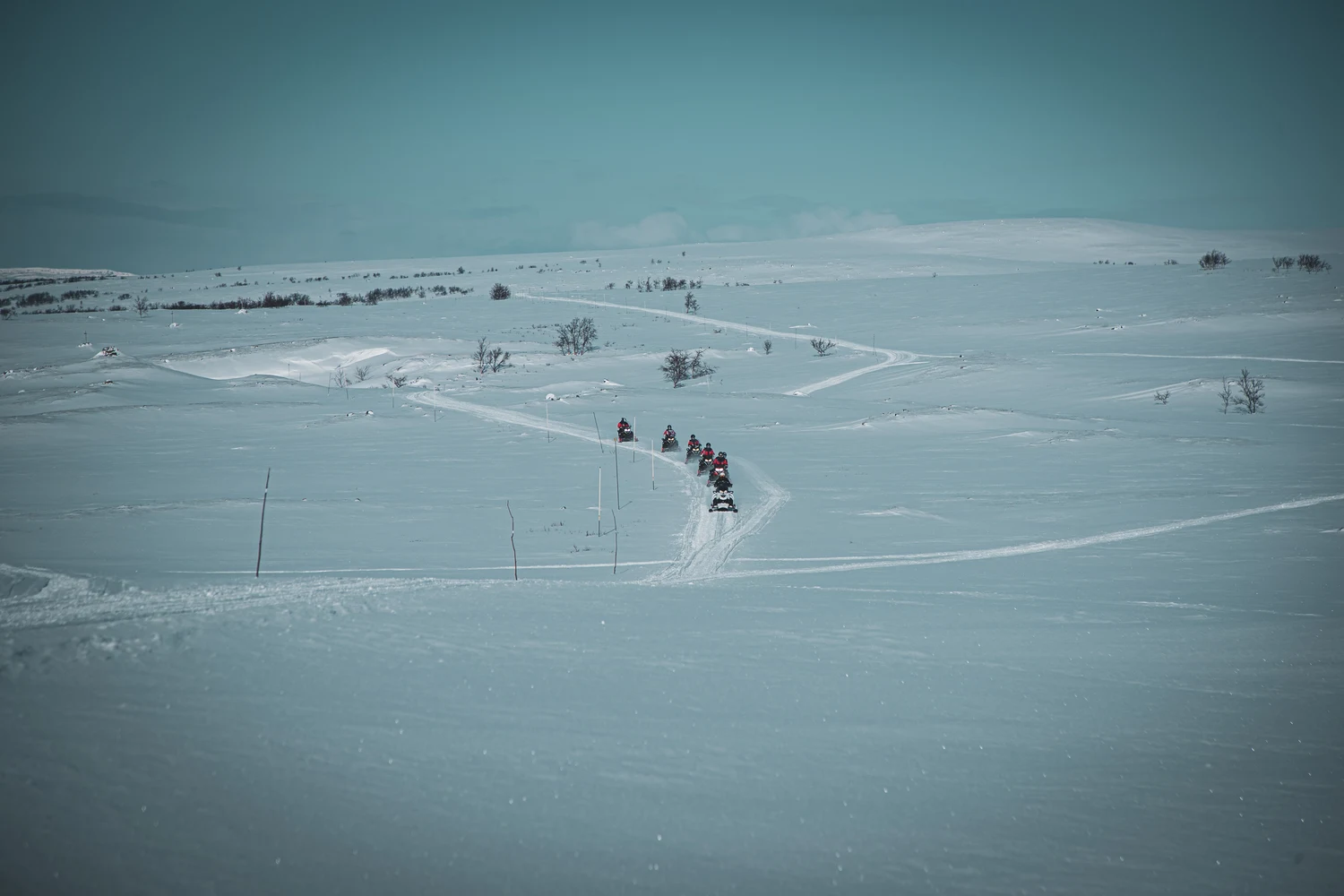  A Winter Dream in the North: Reindeer and Snowmobile Adventure (3D2N) Medium