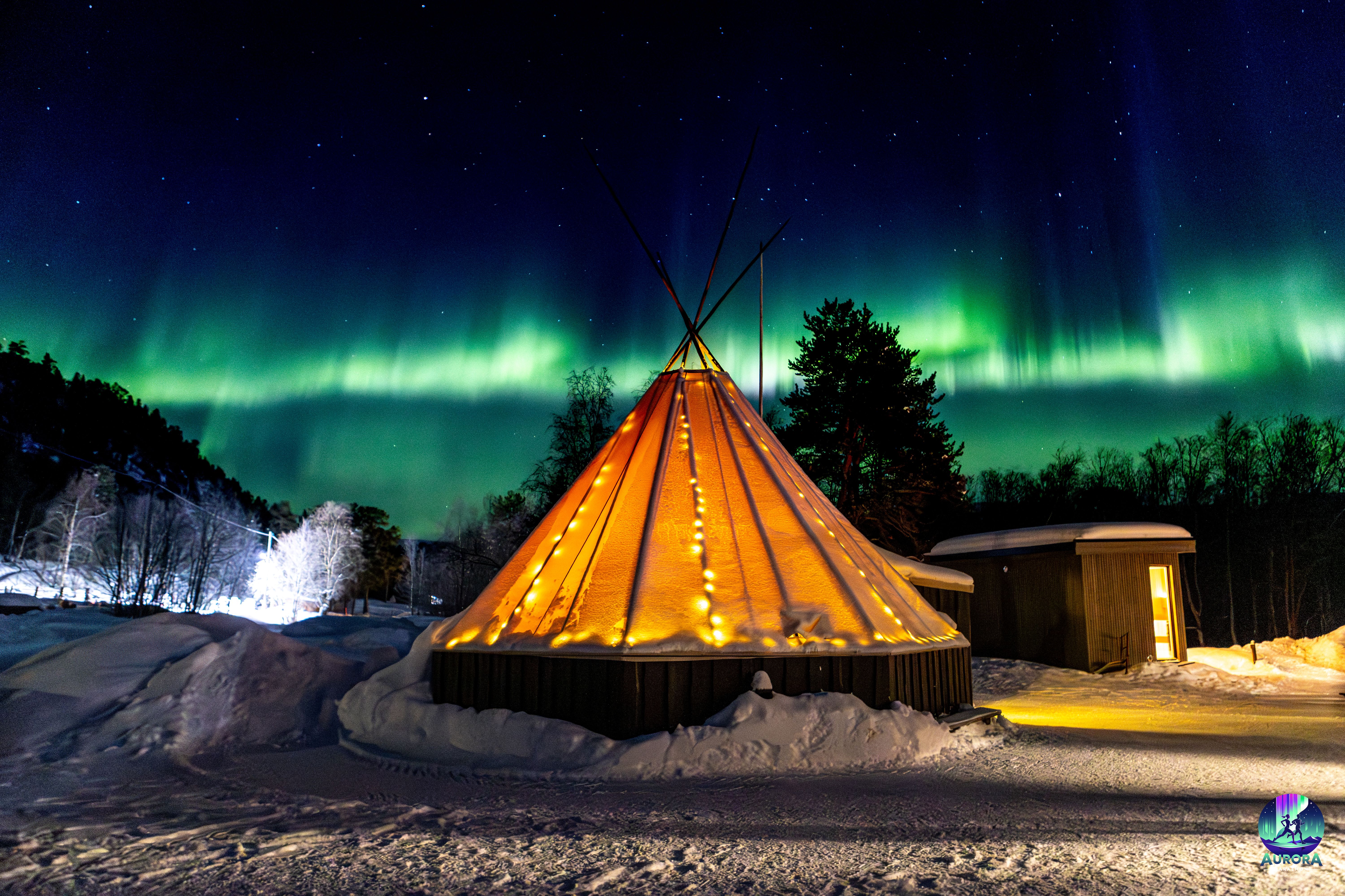 Arctic Wilderness Evening: Husky, Dinner, and the Aurora Borealis