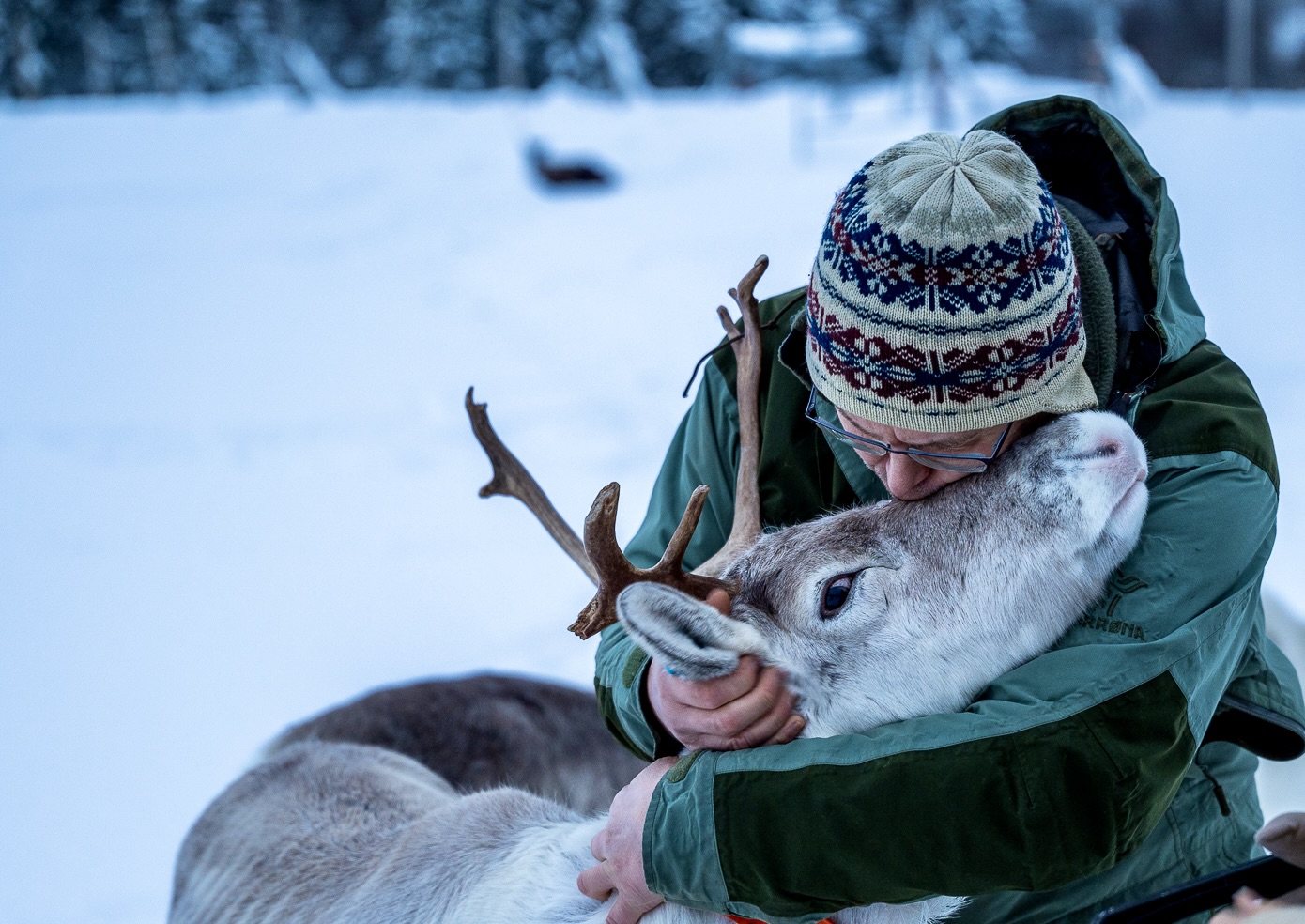 Balsfjord Sami story telling and Reindeer feeding Day Time Experience with lunch 