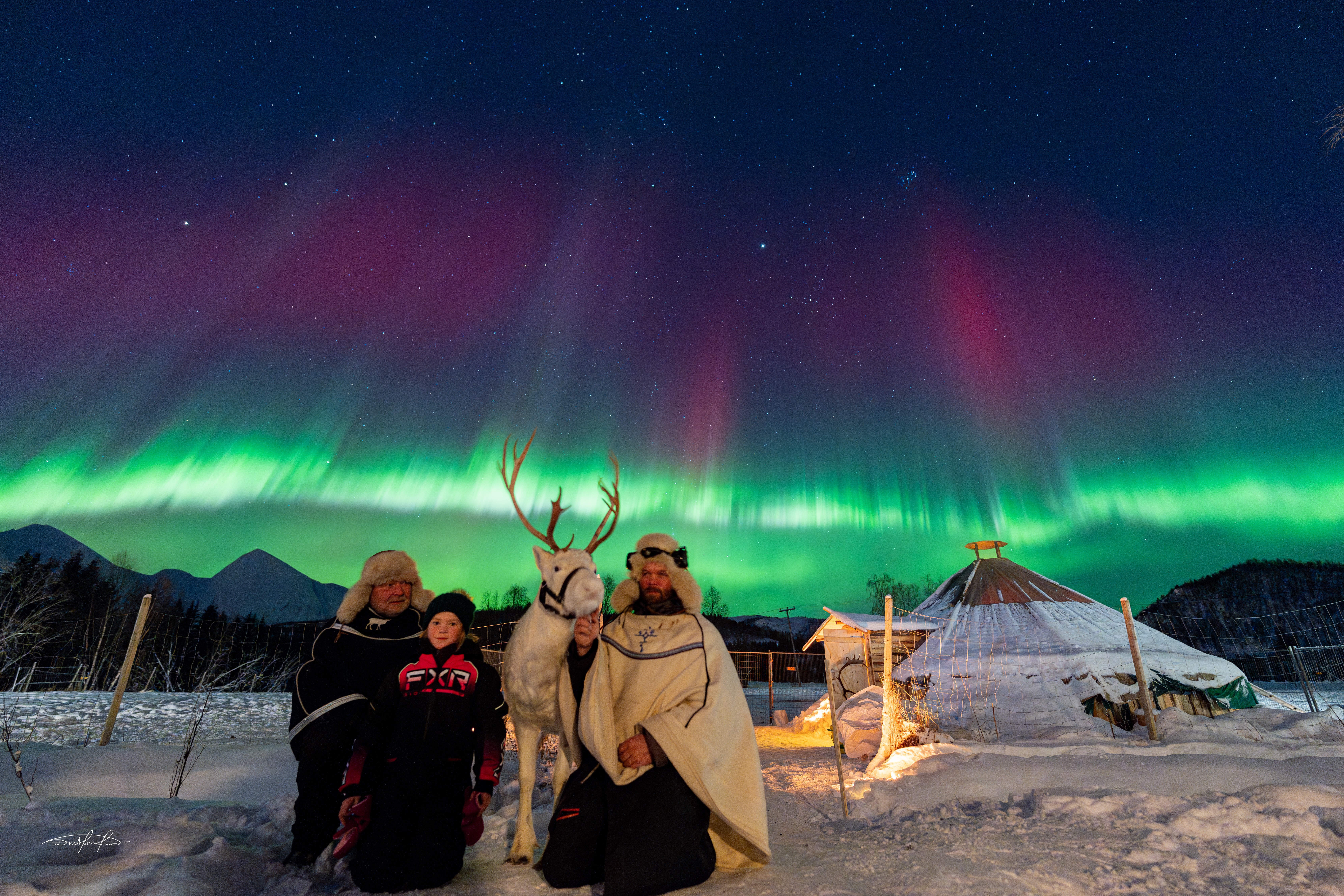 Balsfjord Sami storytelling and Reindeer feeding and Sledding Night Time Experience 