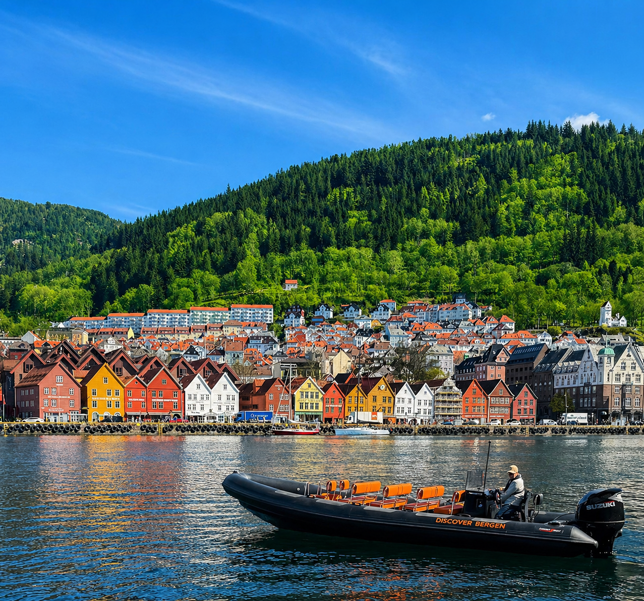 Bergen from the sea