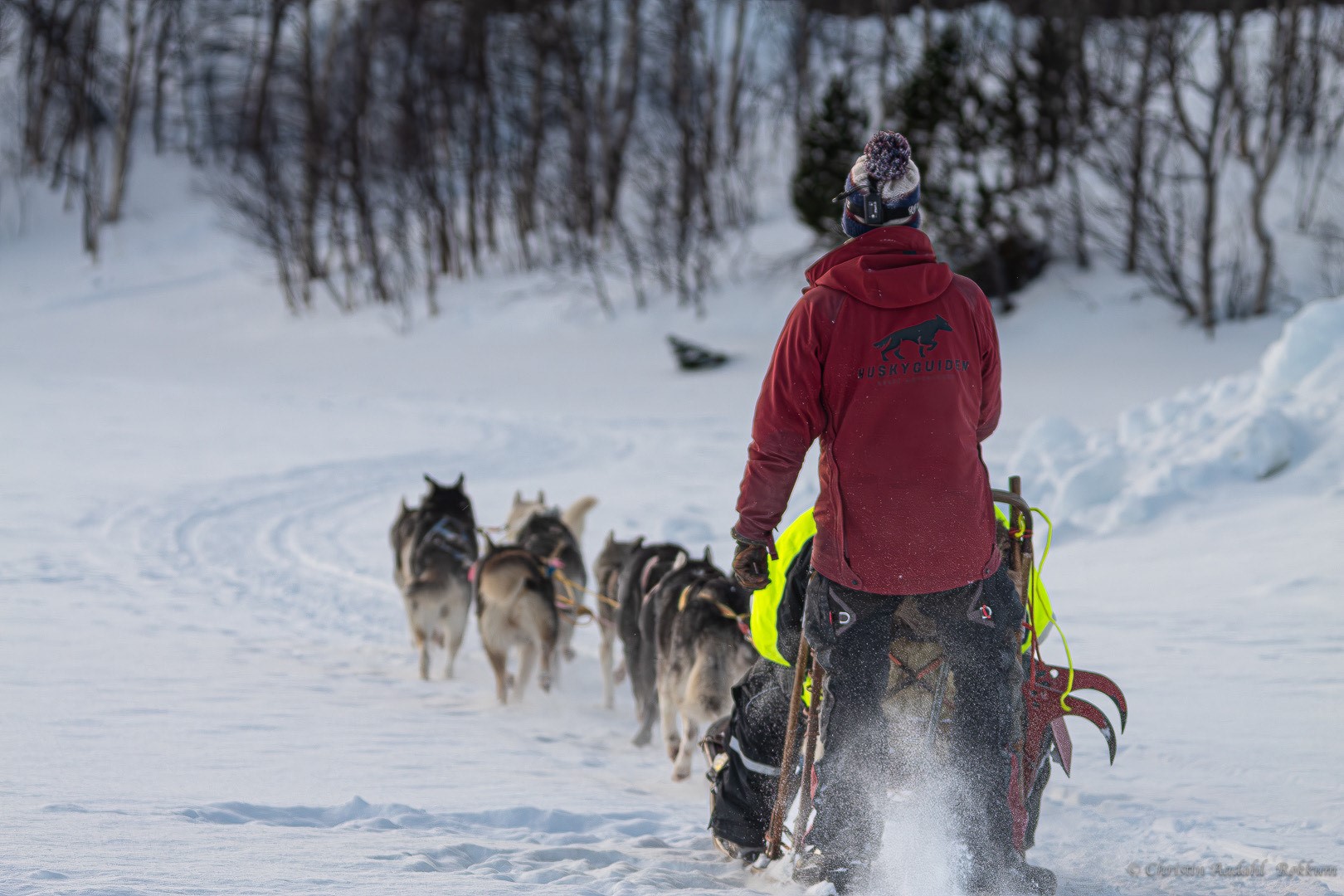 Complete Musher Experience