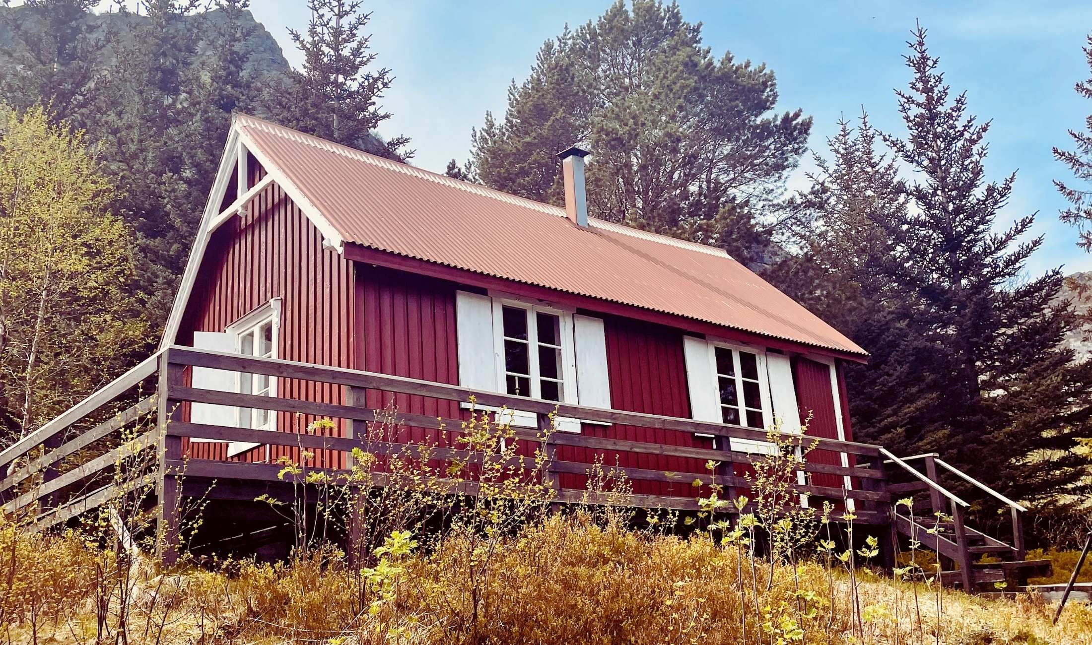 Summer Cabin Experience