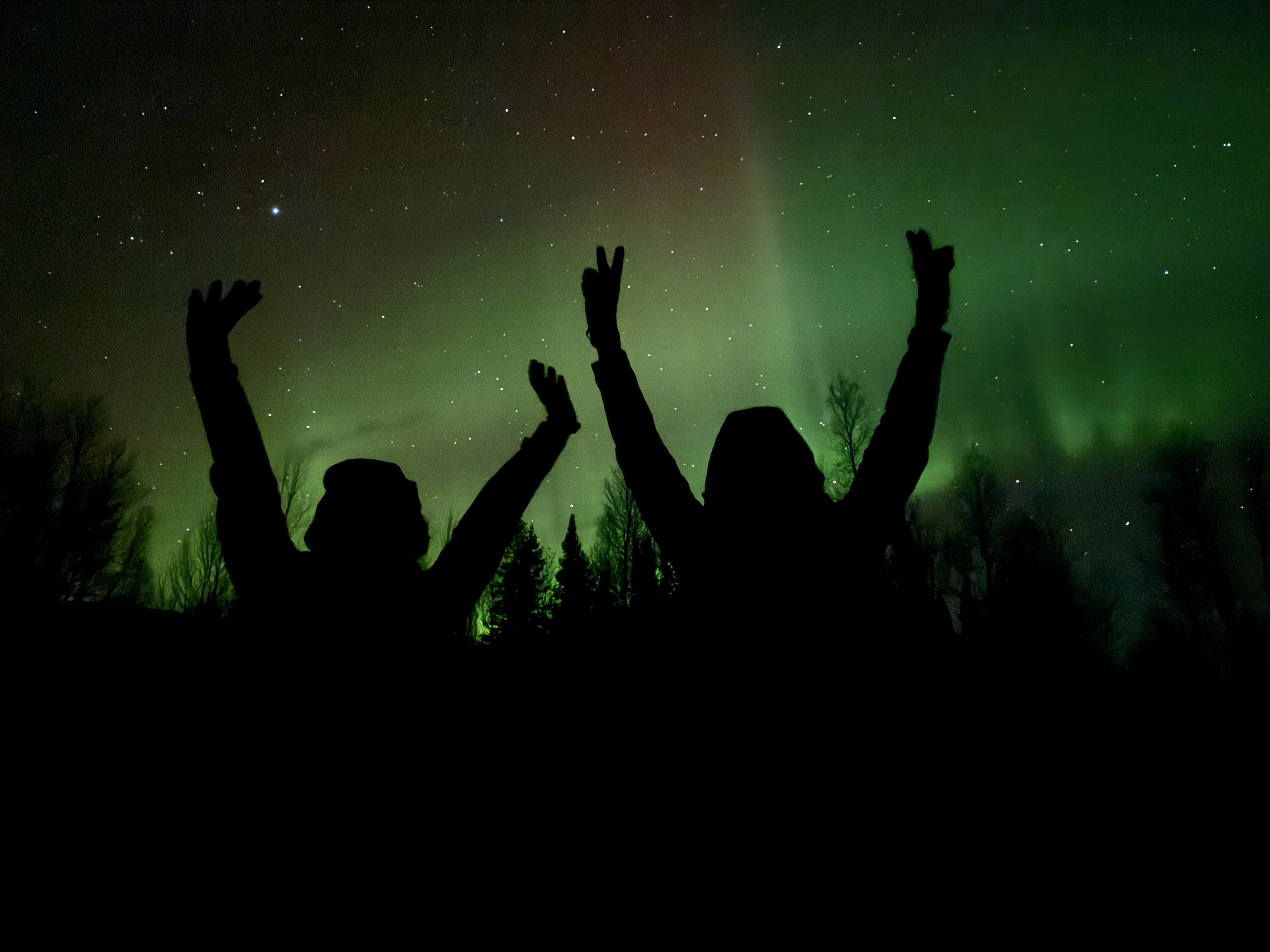 Bonfire, Northern lights and Huskies