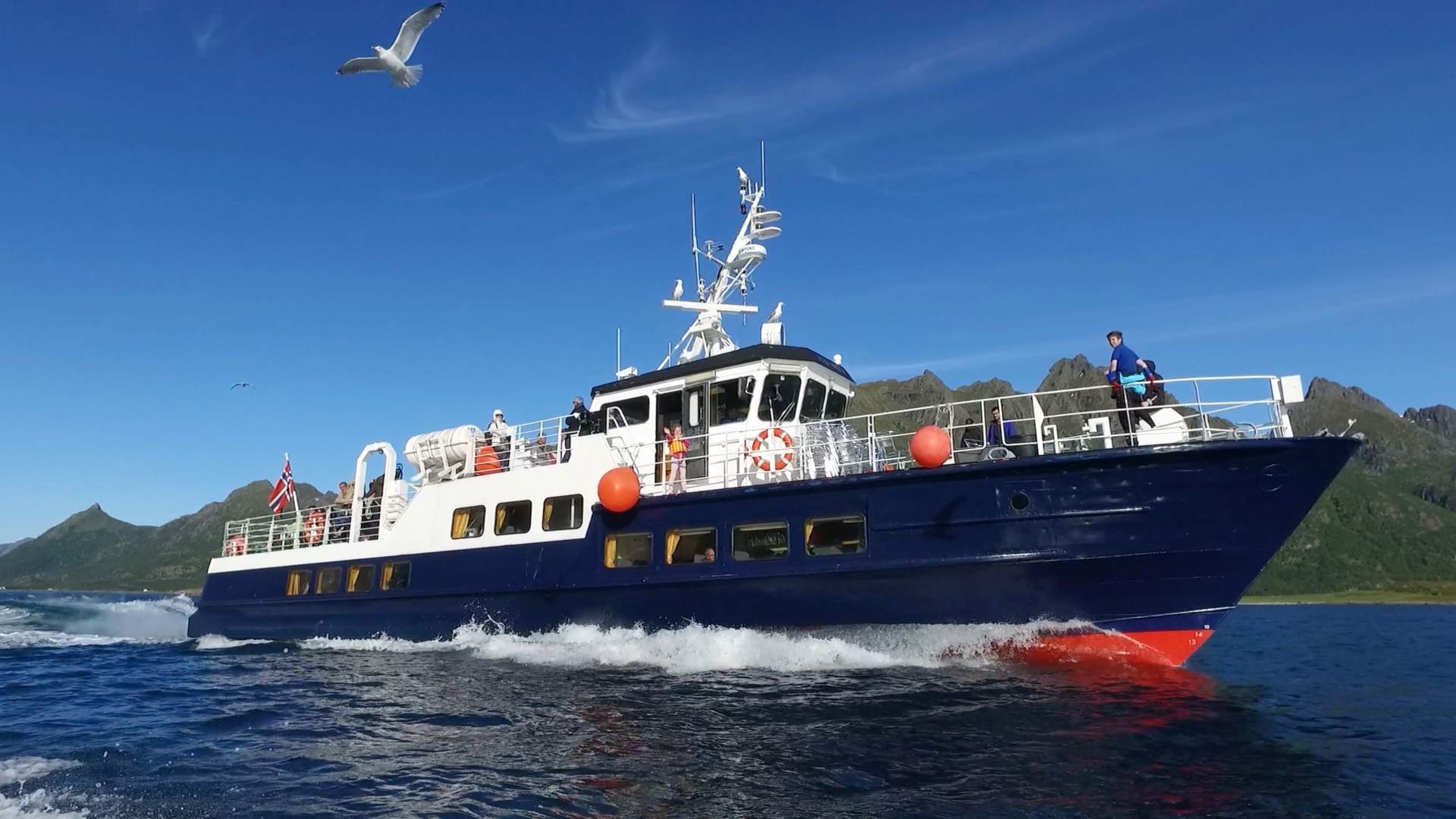 Opplevelsestur til Trollfjorden