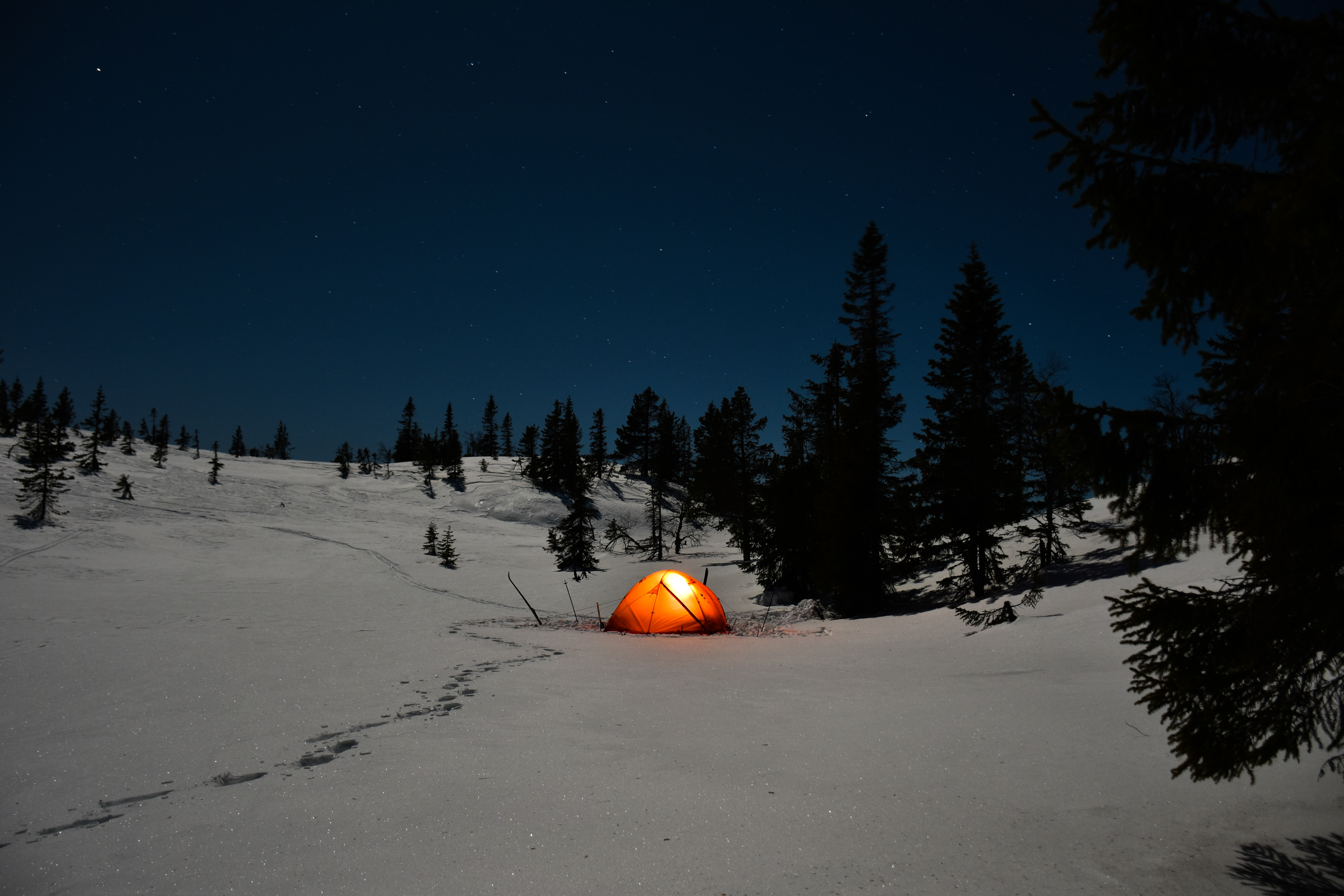 Vinterkurs på Vikerfjell