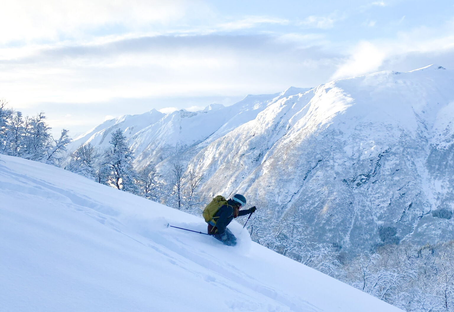 Skiteknikk for Topptur 2 dager - Hemsedal