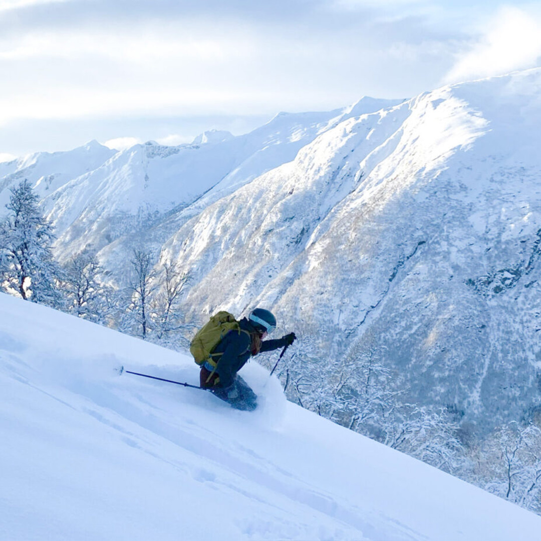 Toppturkurs Nybegynnere - Hemsedal