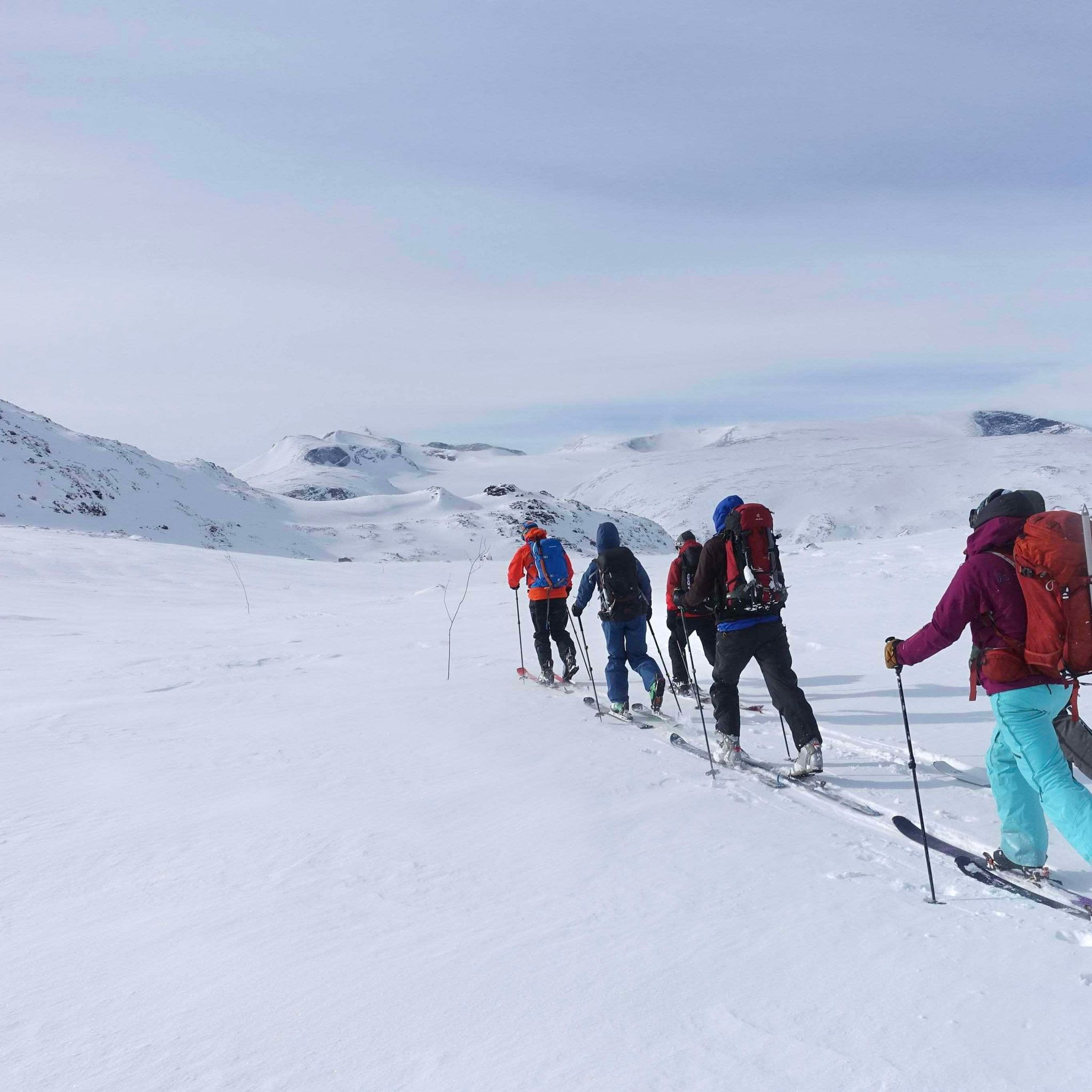 Toppturkurs Nybegynnere- Hemsedal - Girls Only