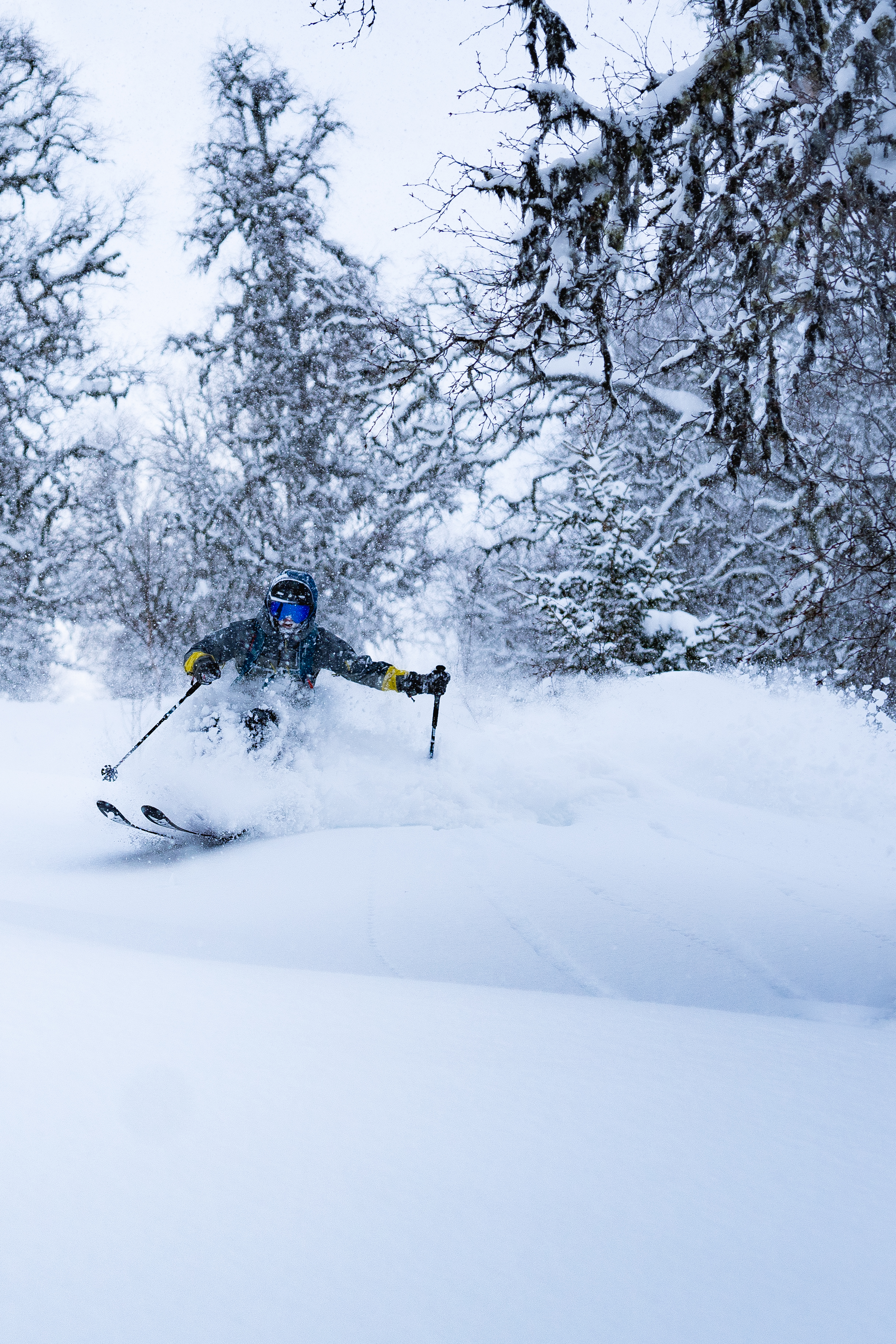 Finn den beste snøen - Guidet topptur Fredag og Lørdag