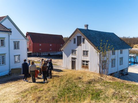 Bodø - Silent Kjerringøy Cruise