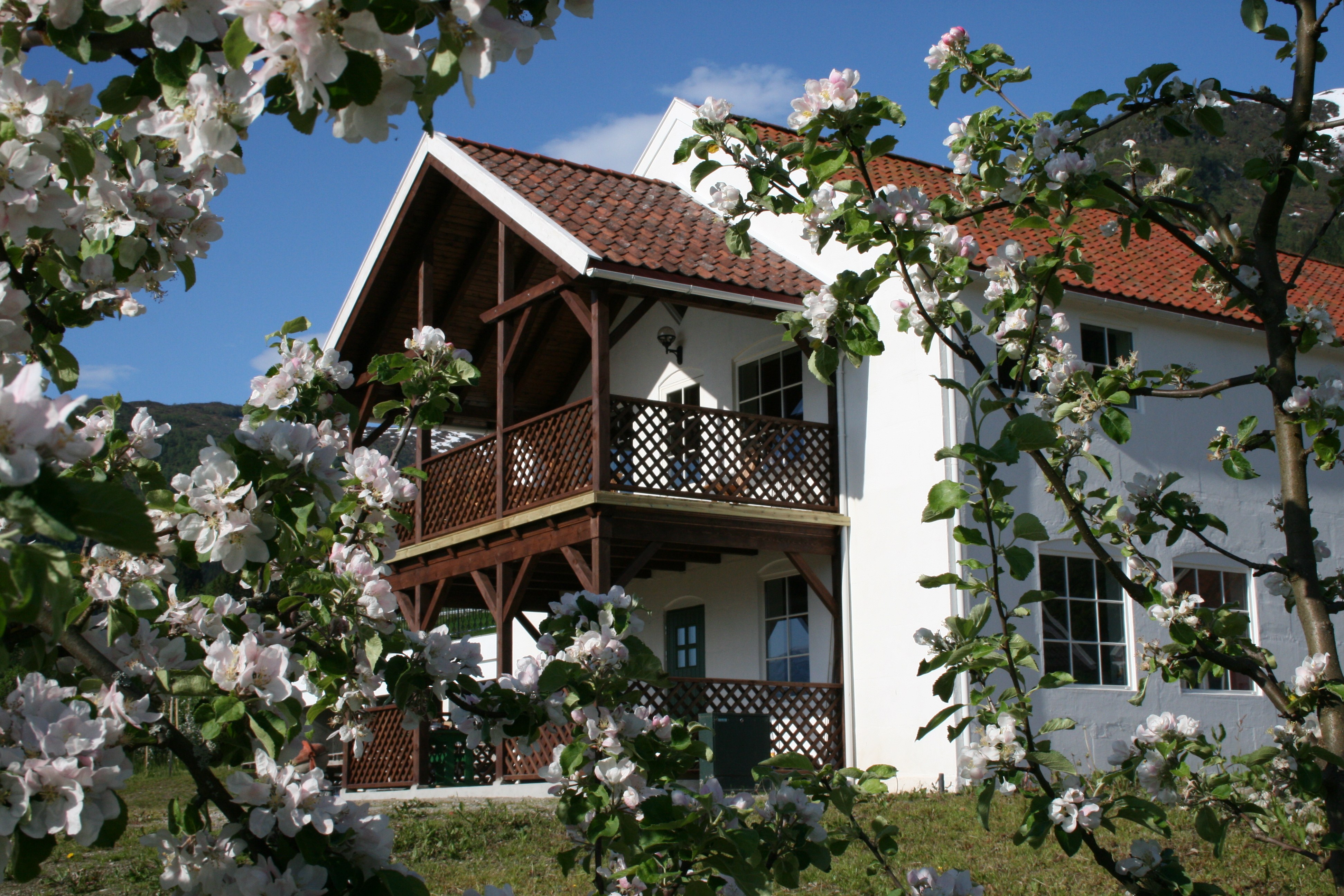 Galleribilde 2