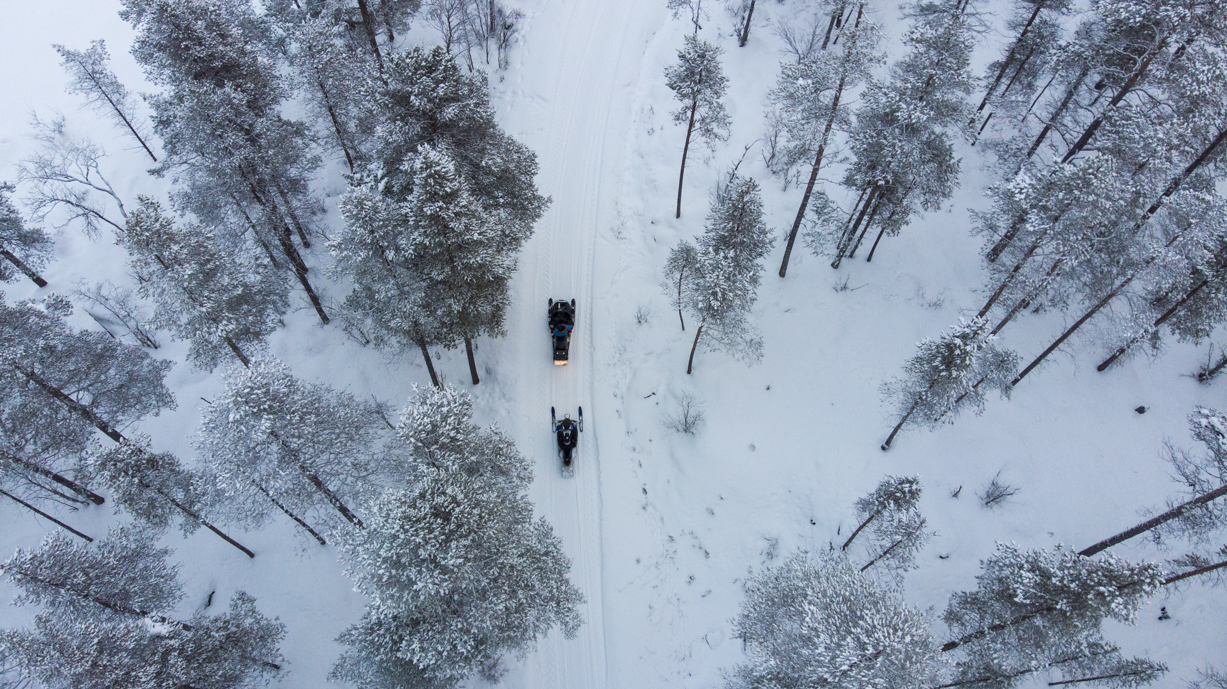 Snøscooter Safari