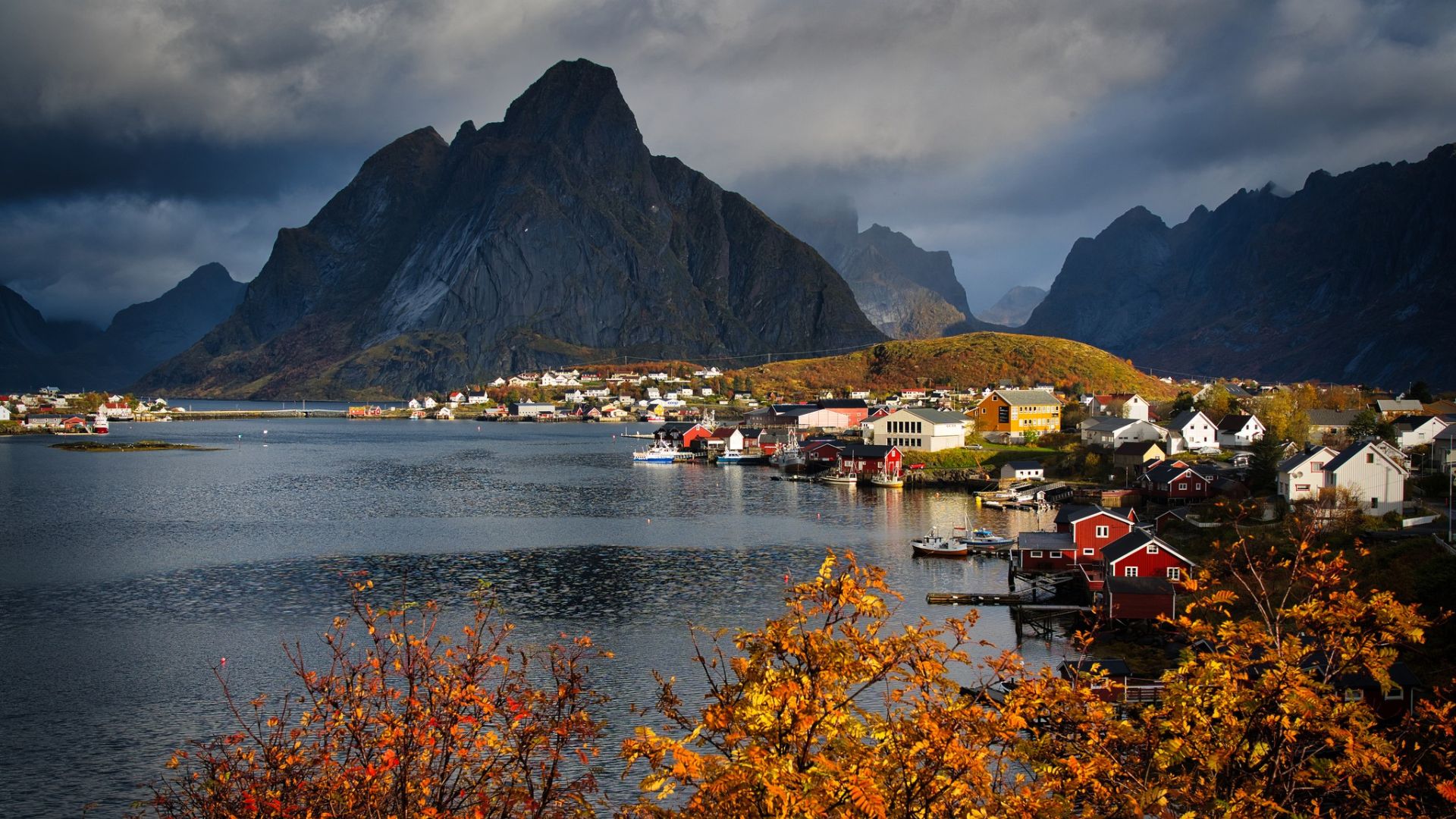 Sightseeing & Photography Tour from Reine