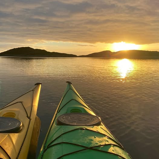 Guidet Havkajakk Safari