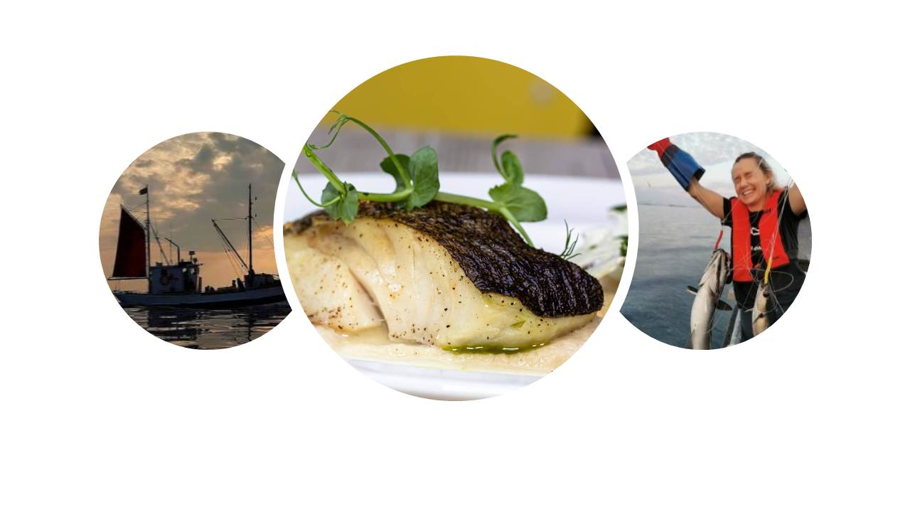 Fiske med 3 -retters middag