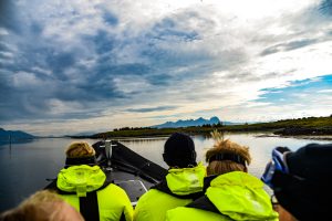 RIB-Safari til Skålvær