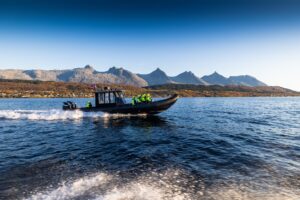 RIB-Safari til Skogsholmen