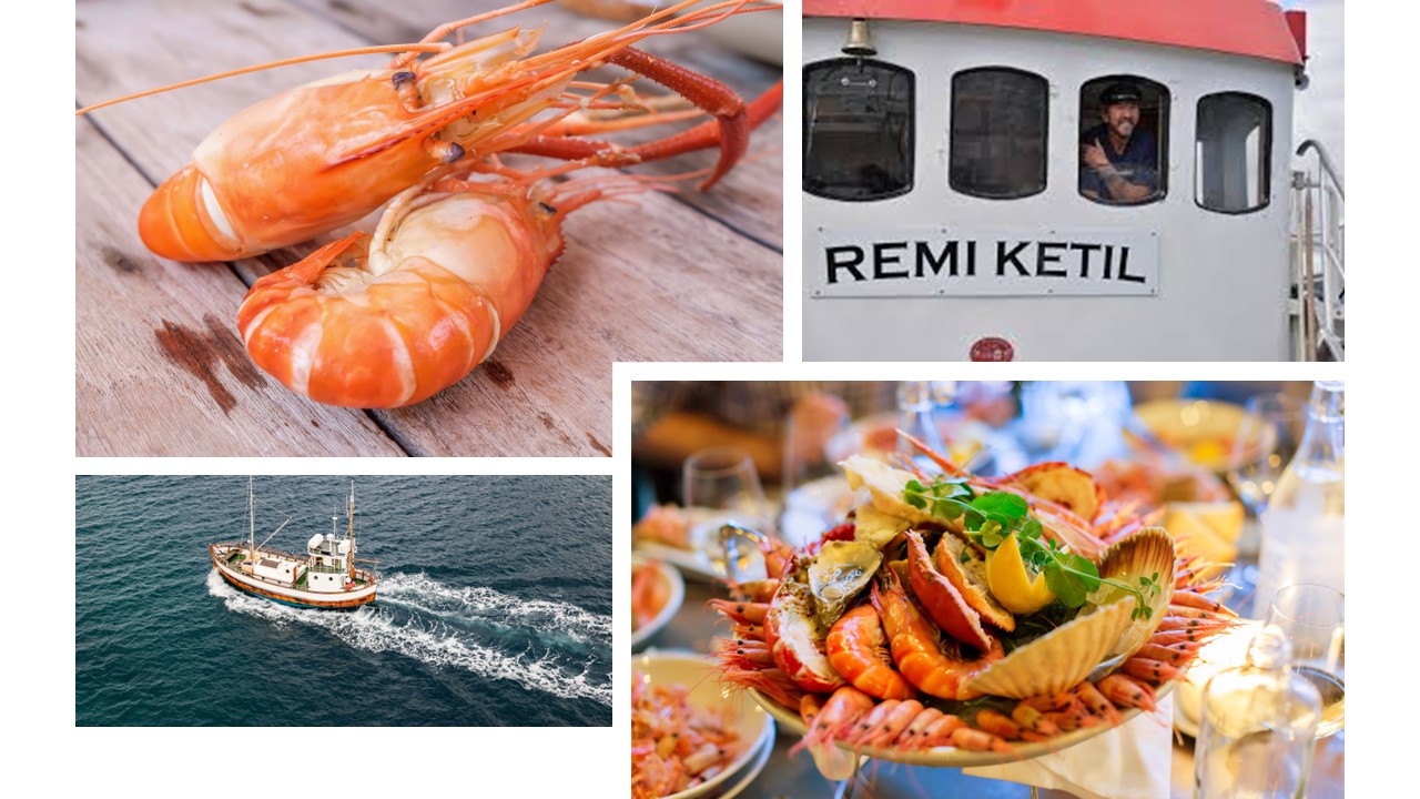 Fjordcruise med reker for to