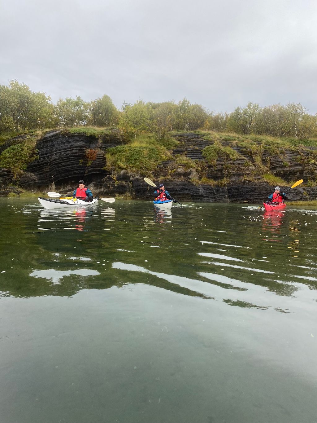Øksningan: Ørnesafari i kajakk (høst/vinter)