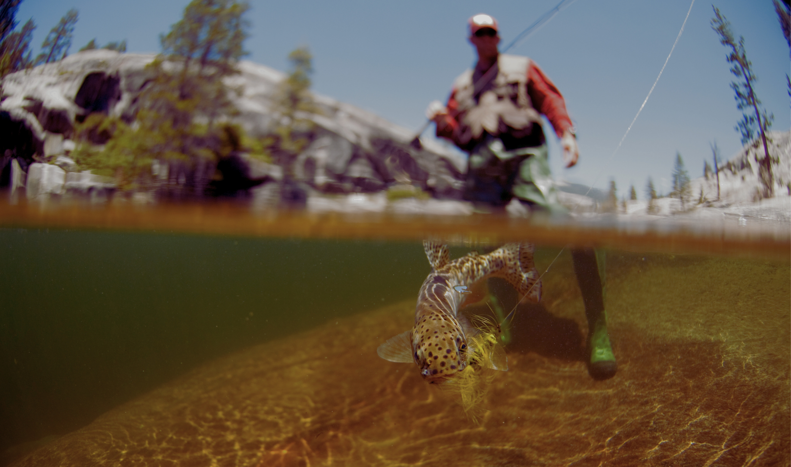 Hooked & Cooked by Nature