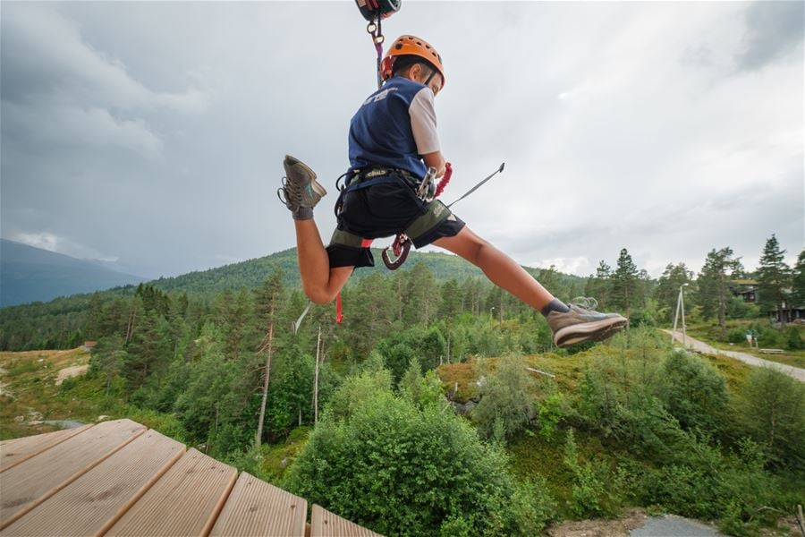 Gruppebillett 10-19 personer