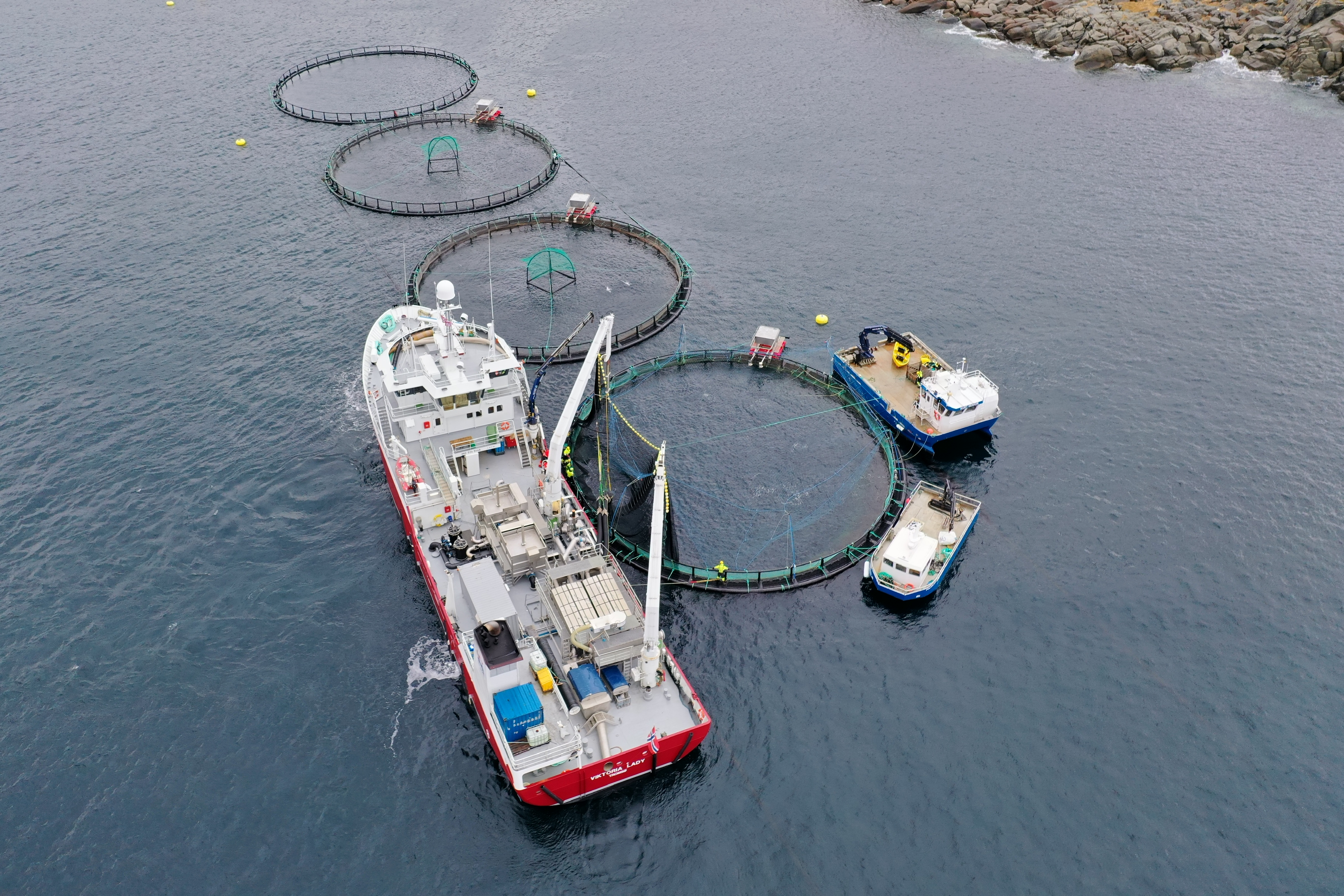 Visningssenter med RIB-tur