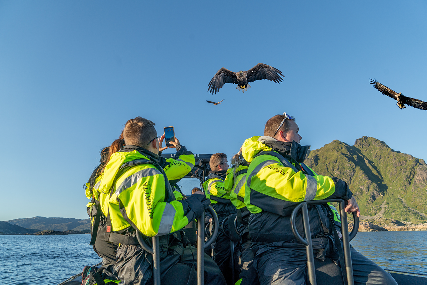 Ørne Safari med RIB 