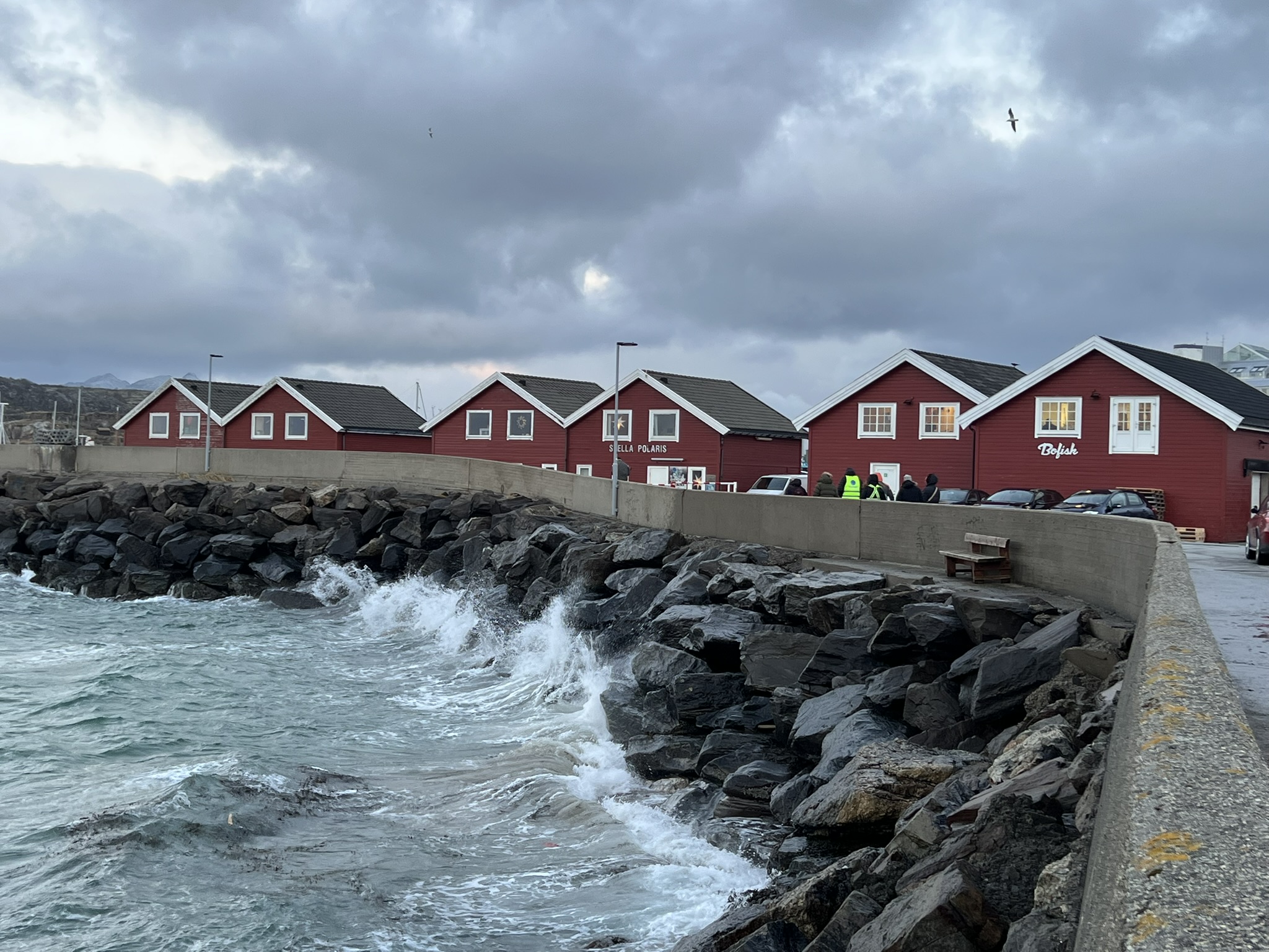 Guided City Walk Bodø