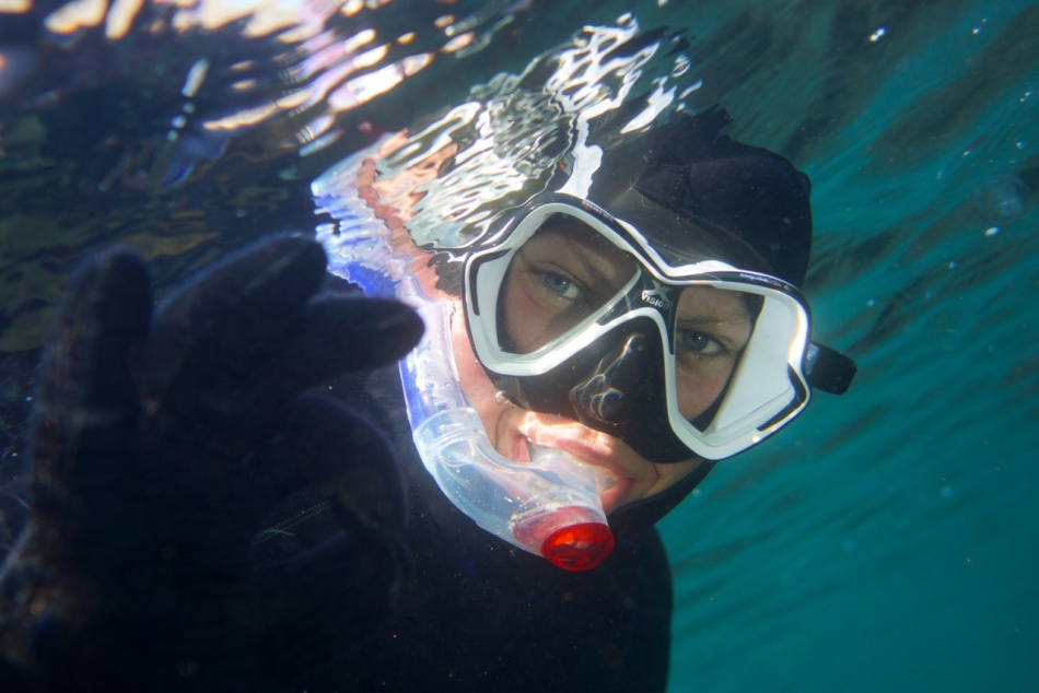 Summer Snorkeling