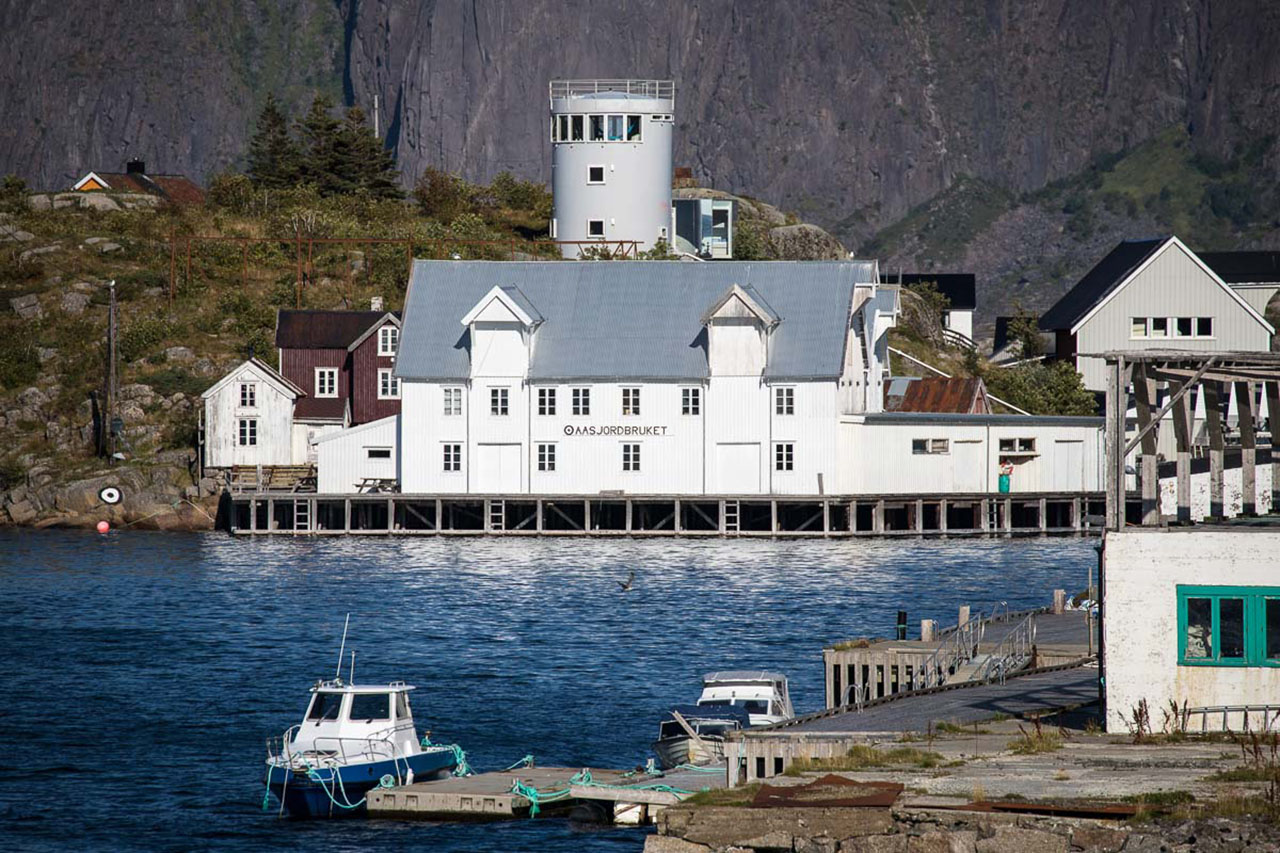 Galleribilde 9