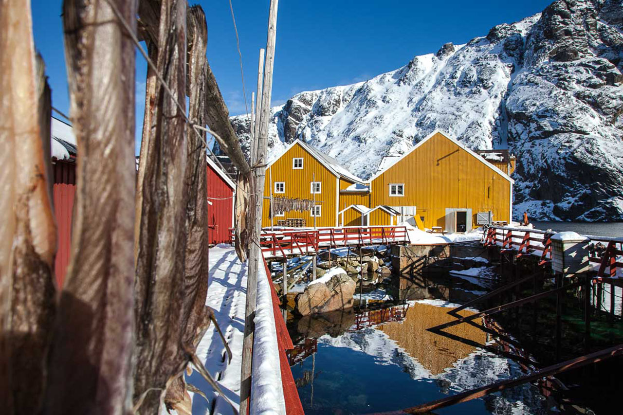 Nusfjord - Heritage Fishing Village Experience