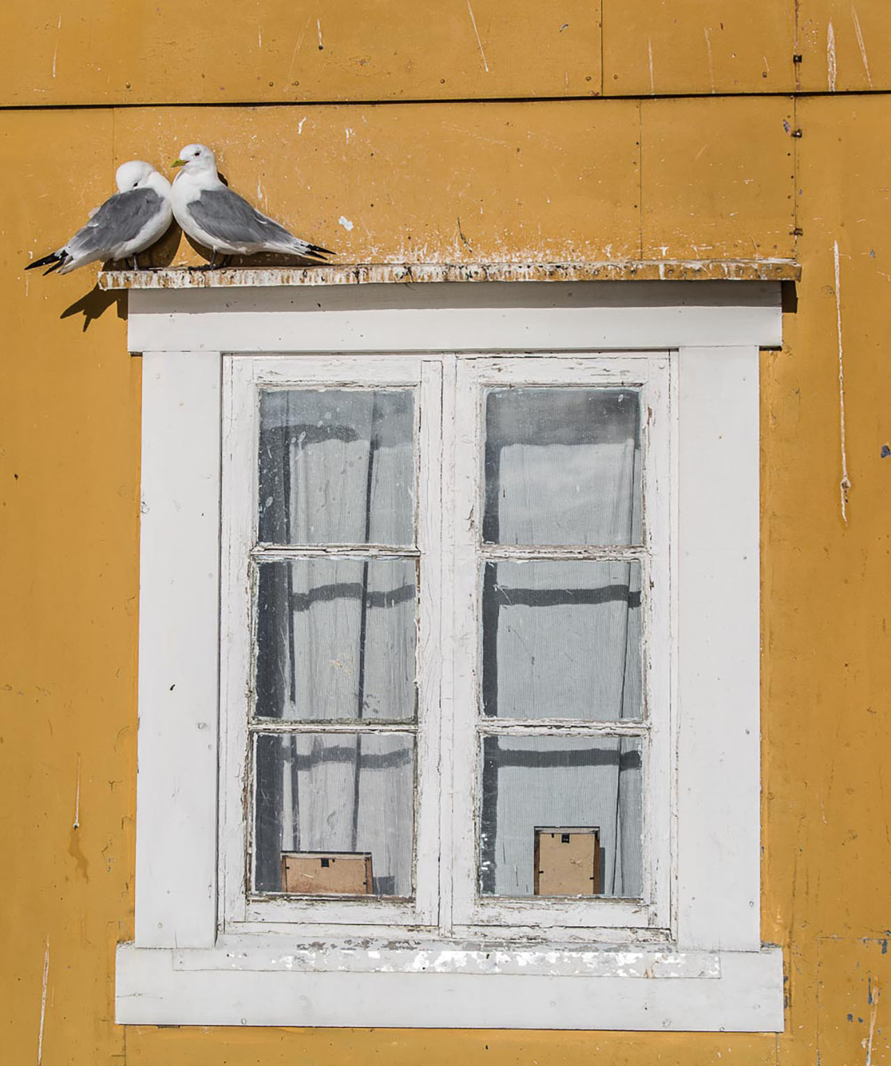 Galleribilde 7