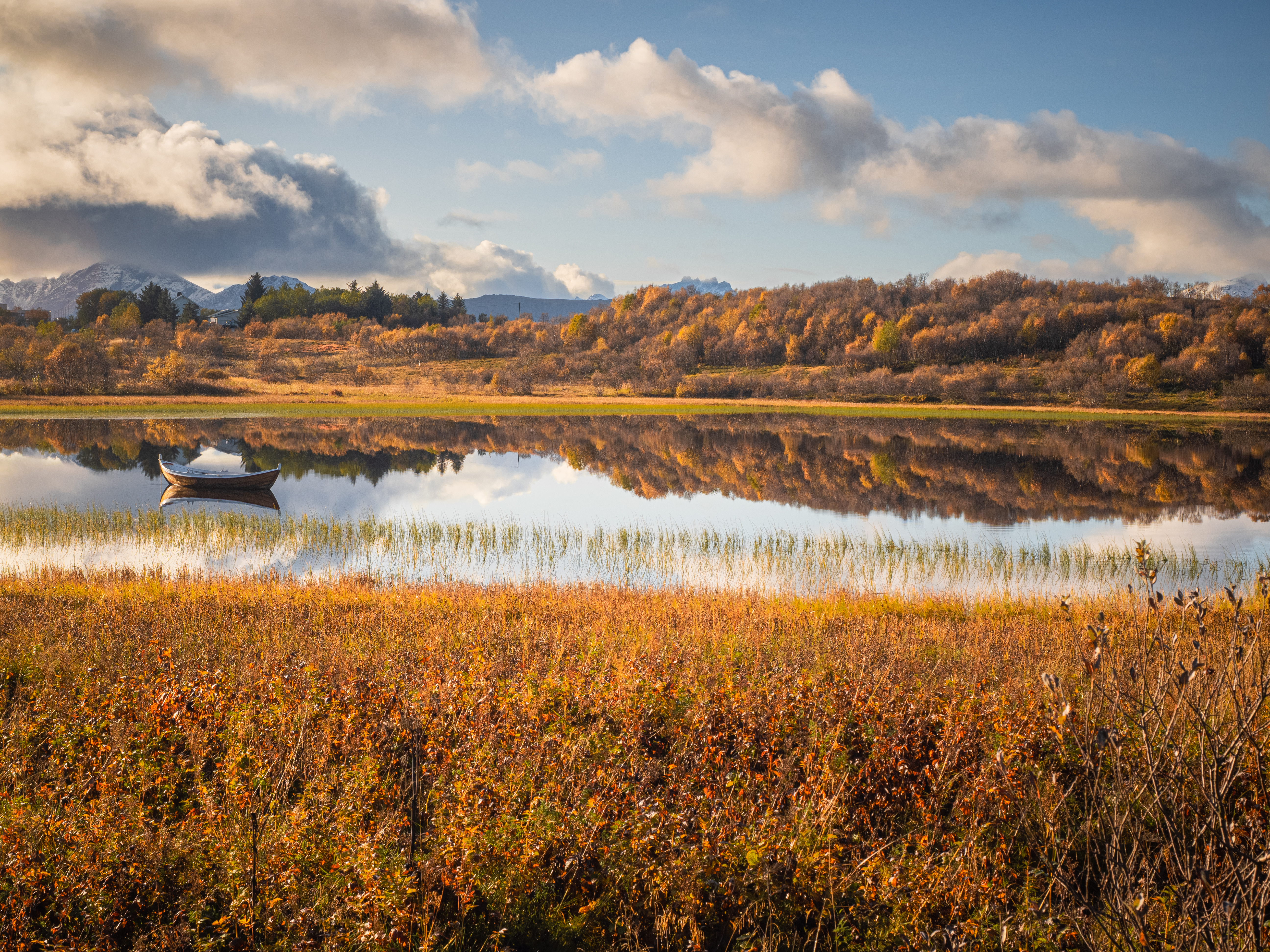 Chasing Autumn in Lofoten