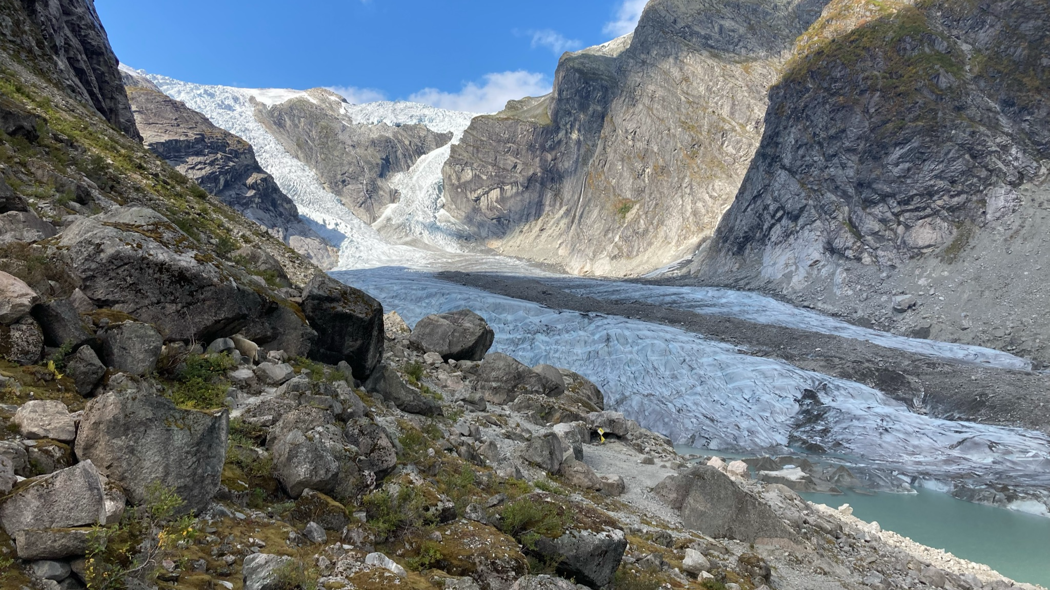 Finst det liv på breen?
