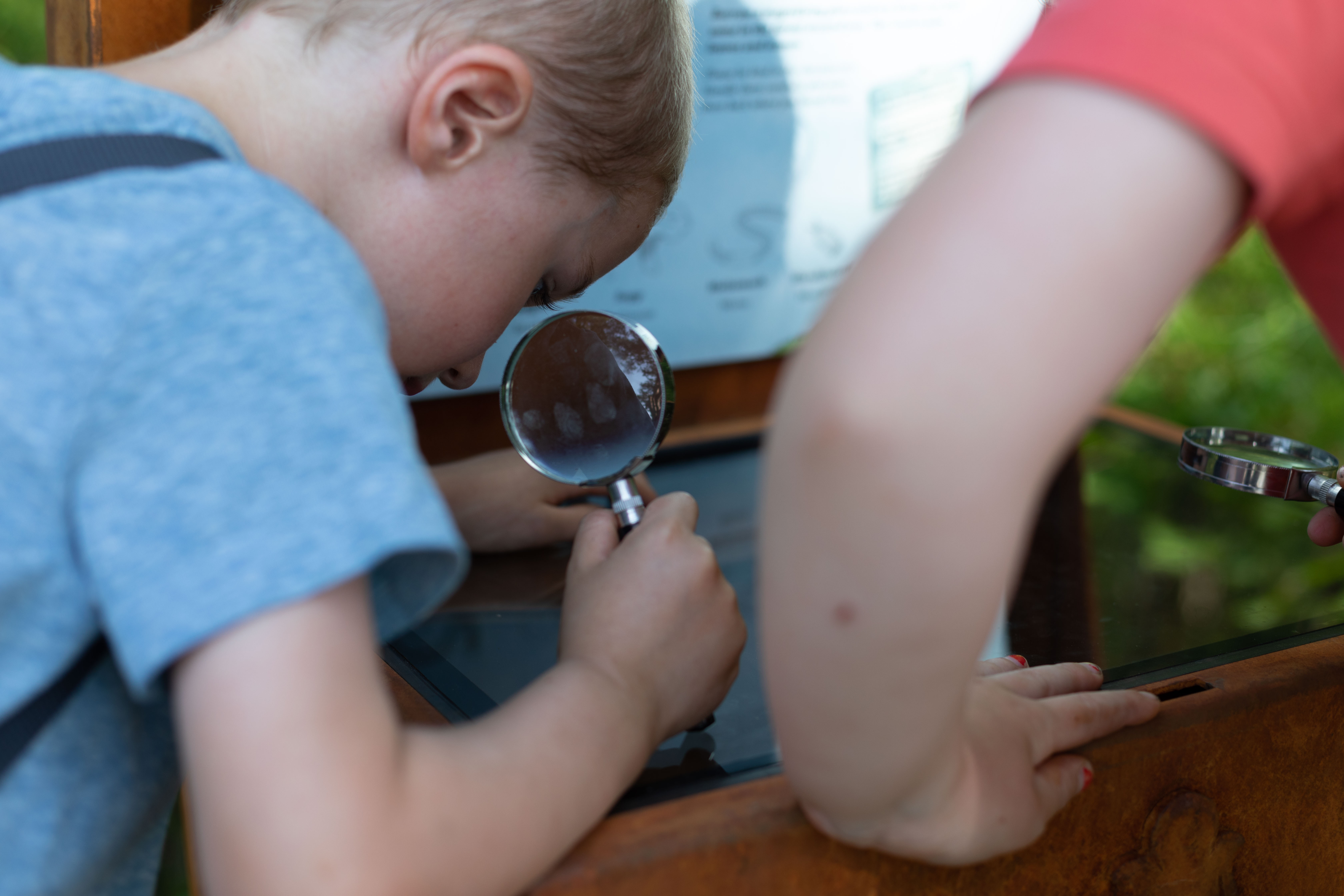 EVENTURSKOGEN UTEN GUIDE