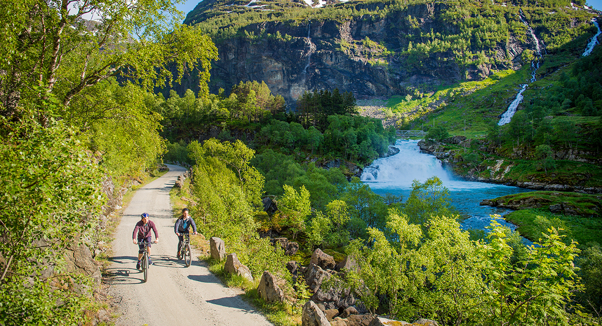 Train and Bike from Flåm