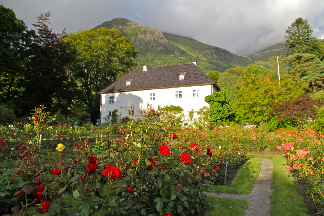 Galleribilde 4