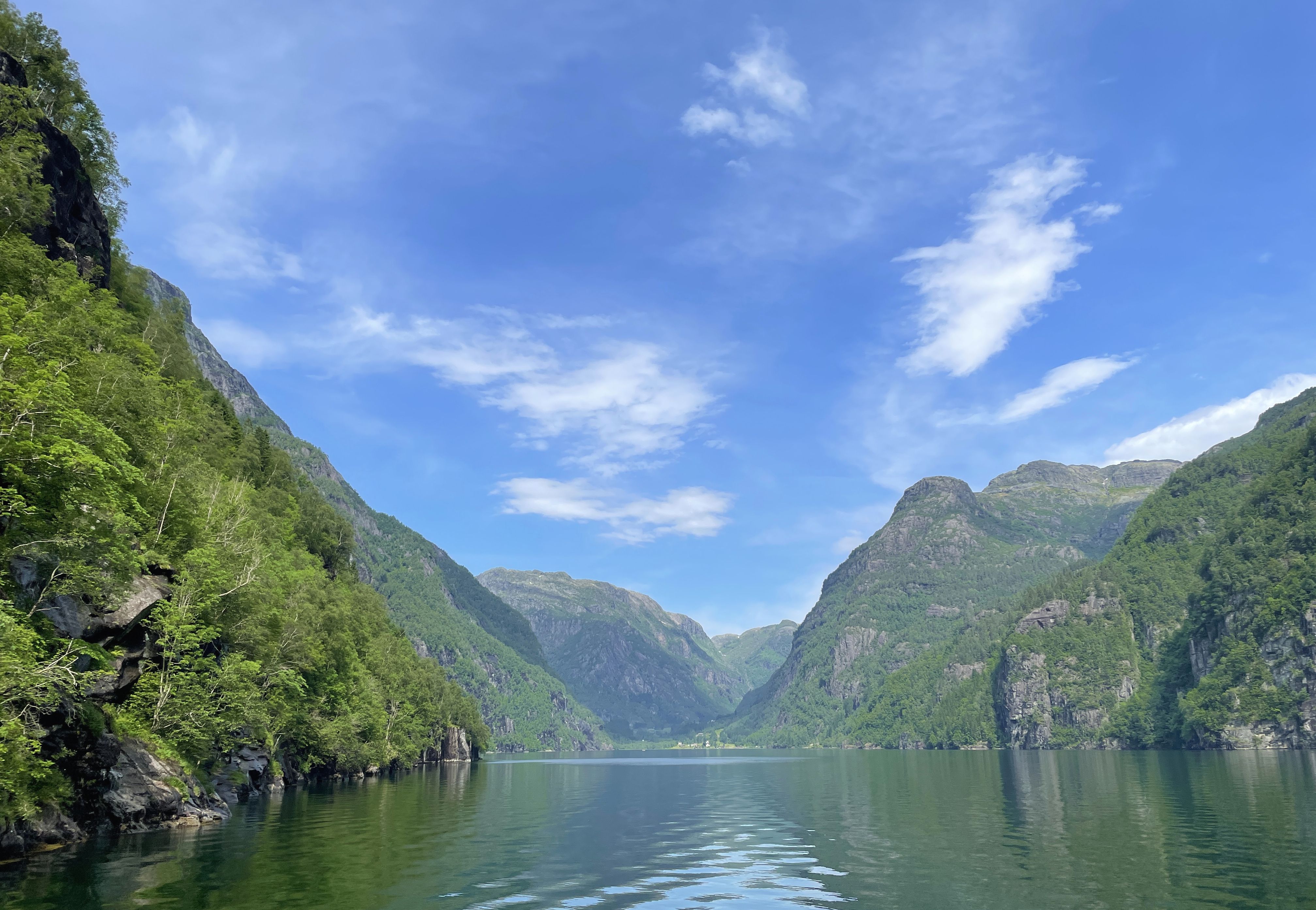 Bergen-Hardangerfjord car+cruise