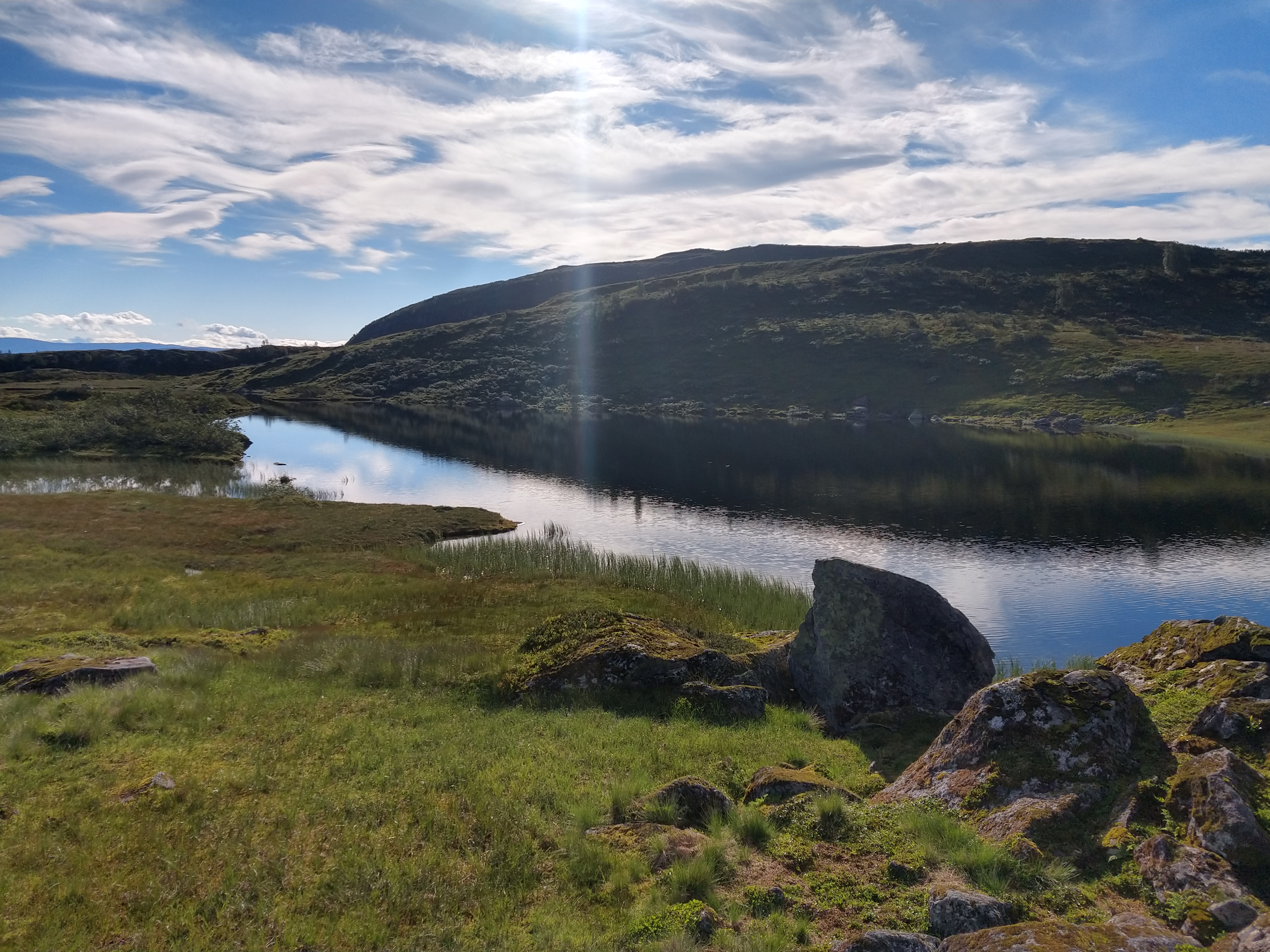 Galleribilde 1