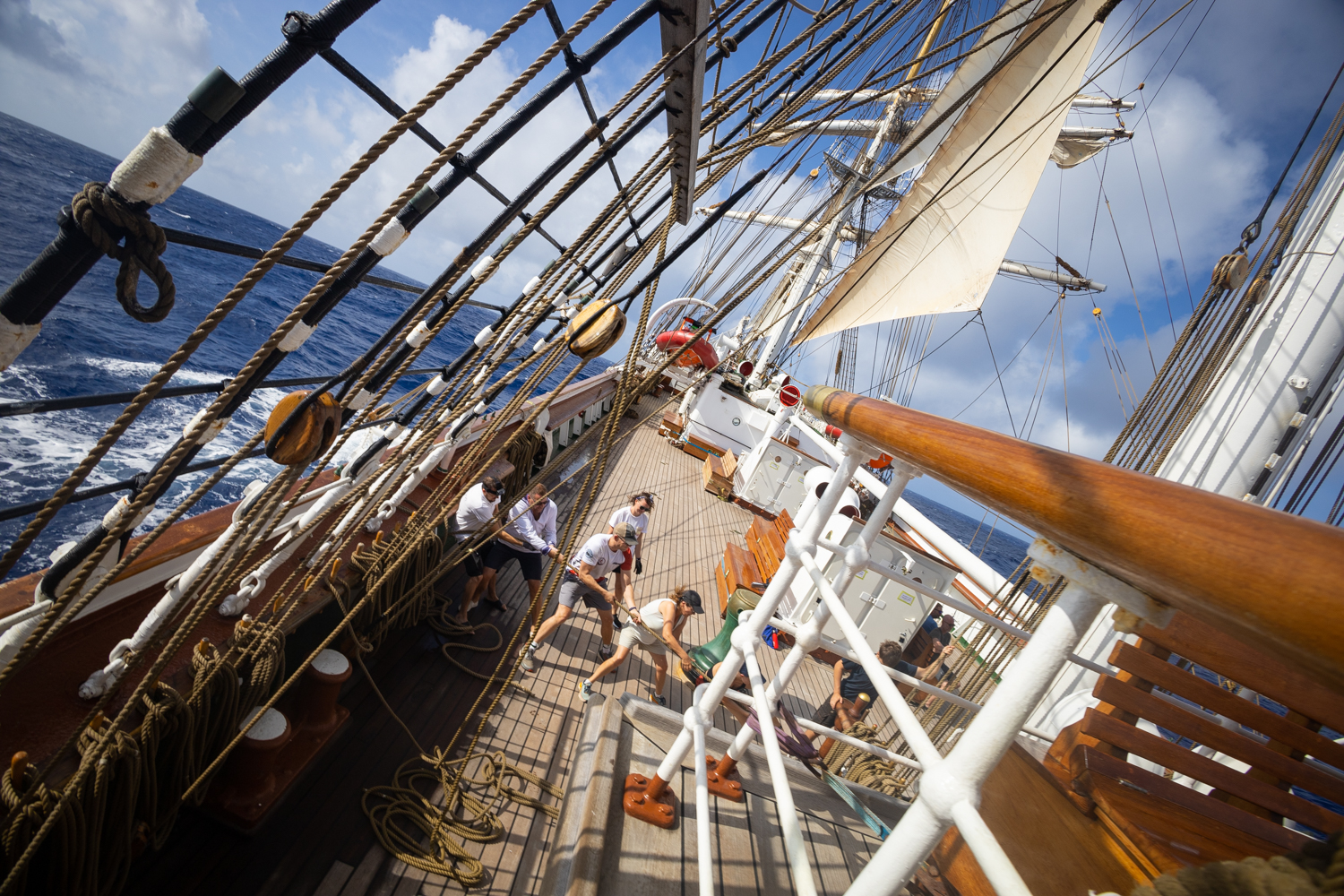 Aalborg – Bergen 2026 