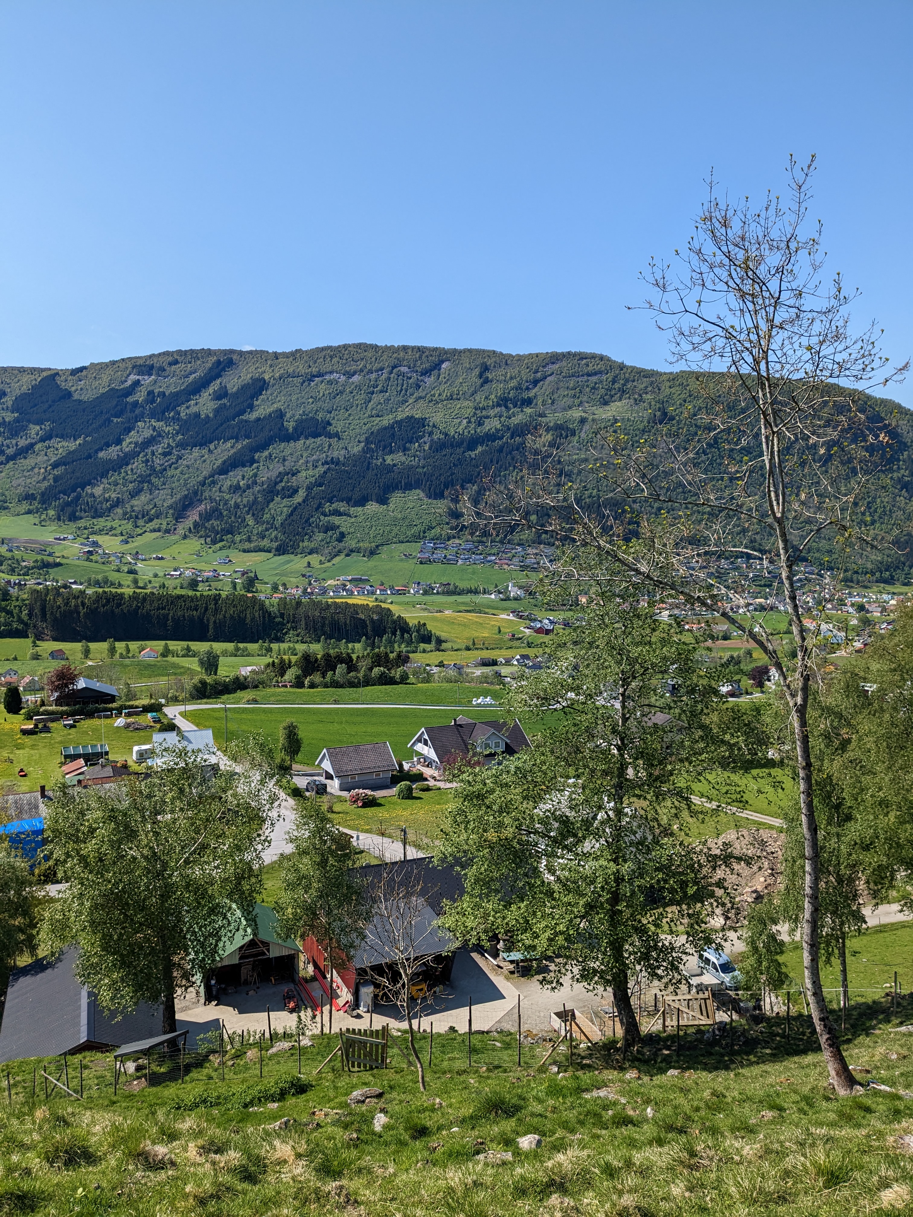 Galleribilde 14