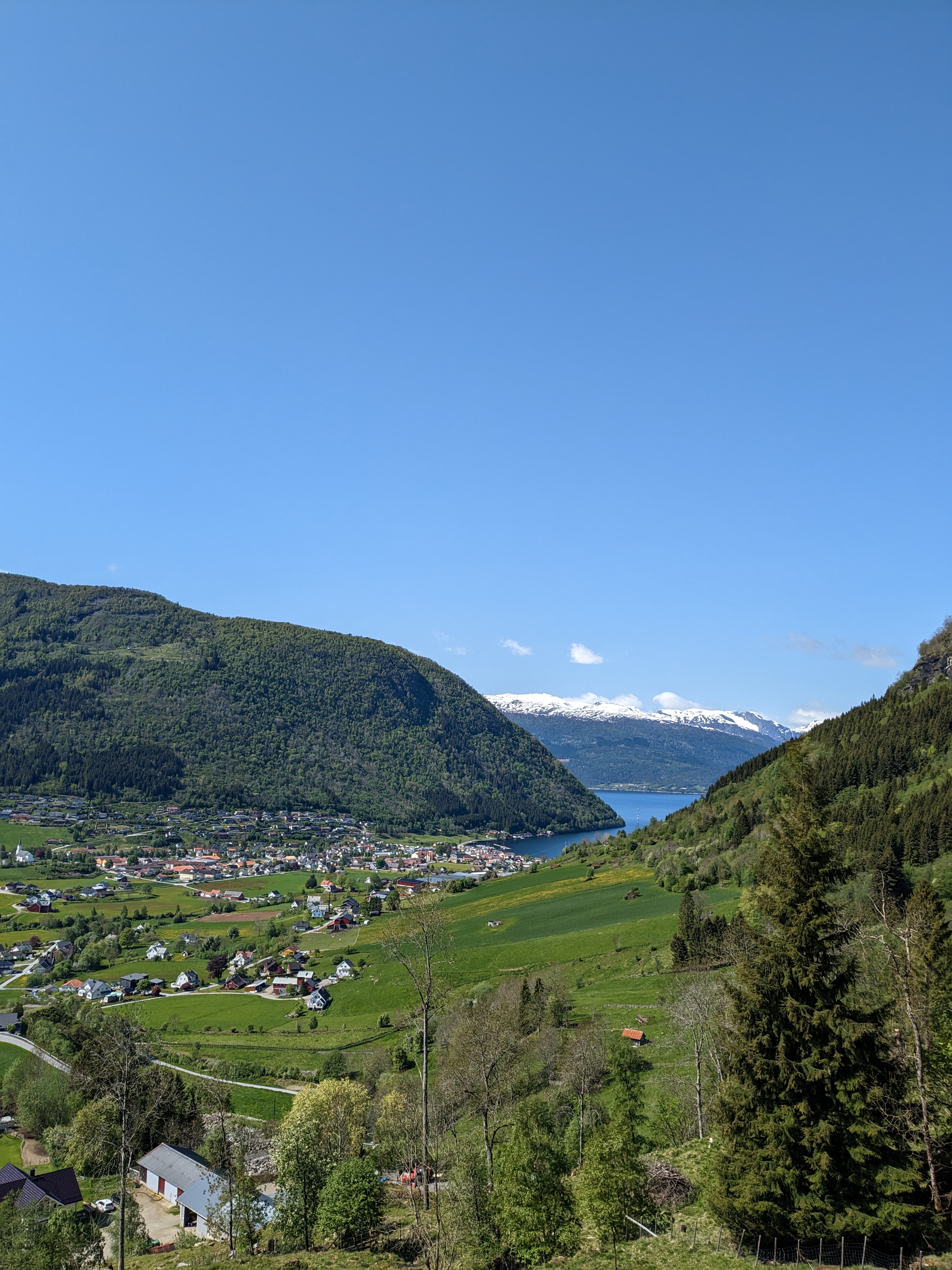 Galleribilde 9
