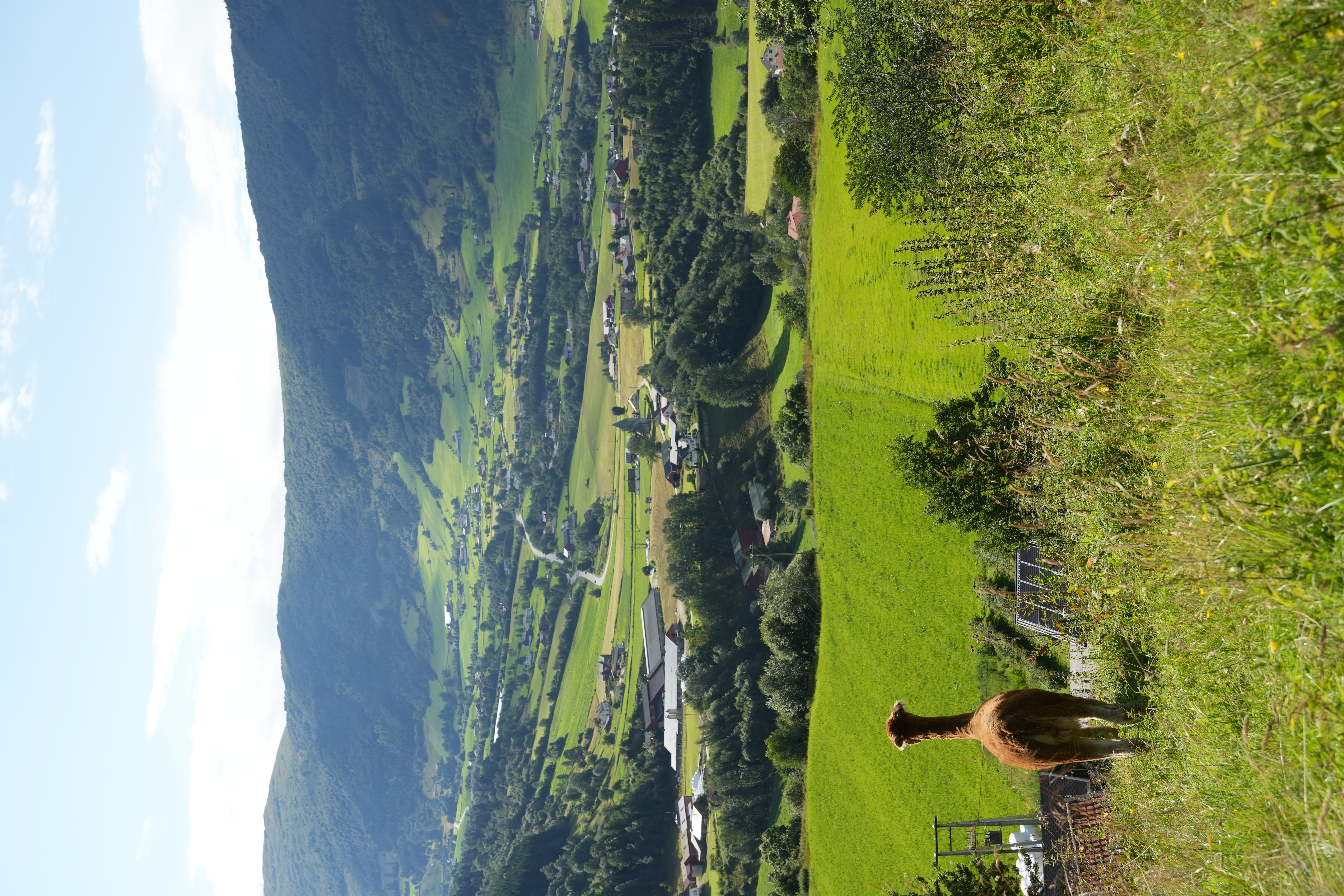 Galleribilde 11