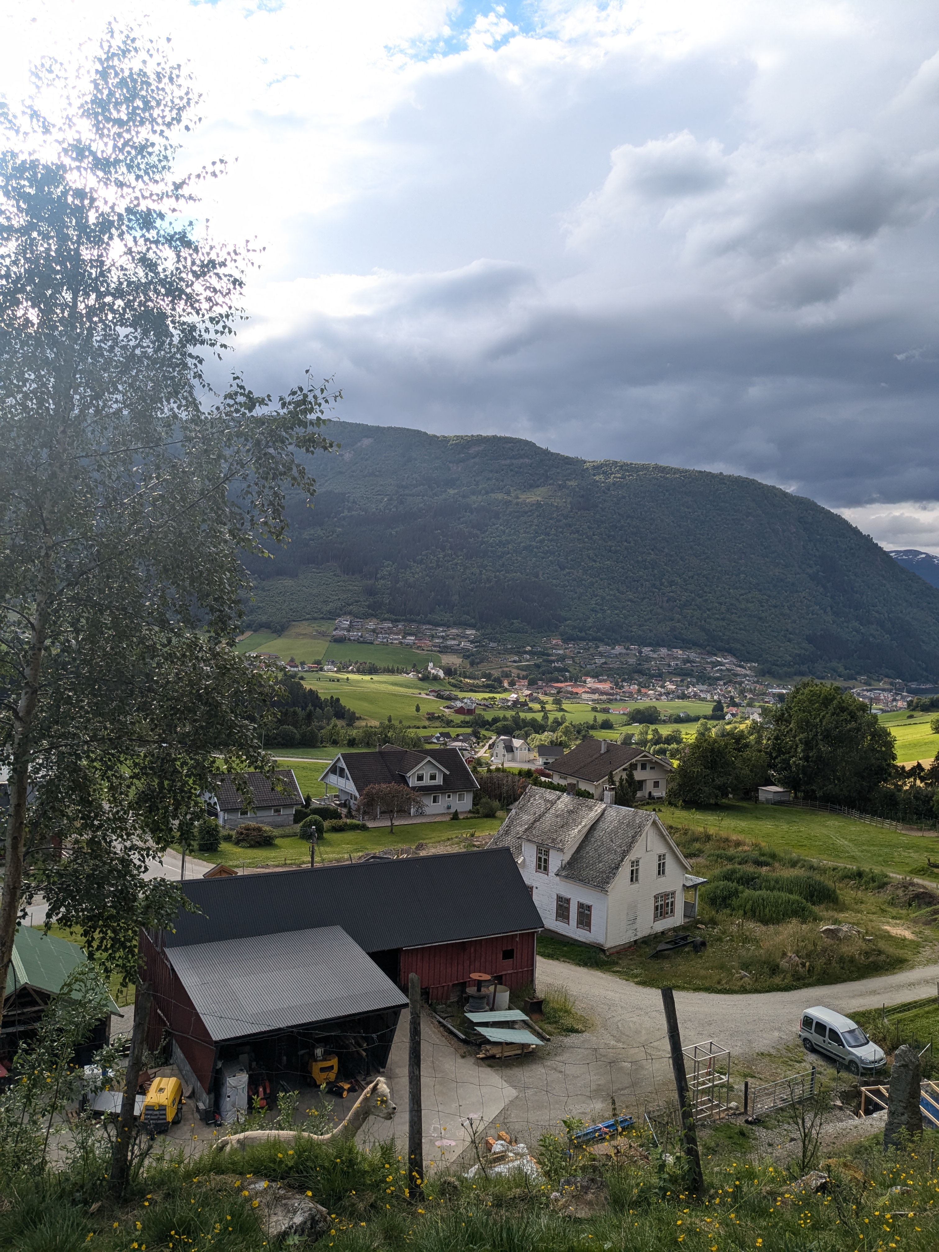 Galleribilde 12